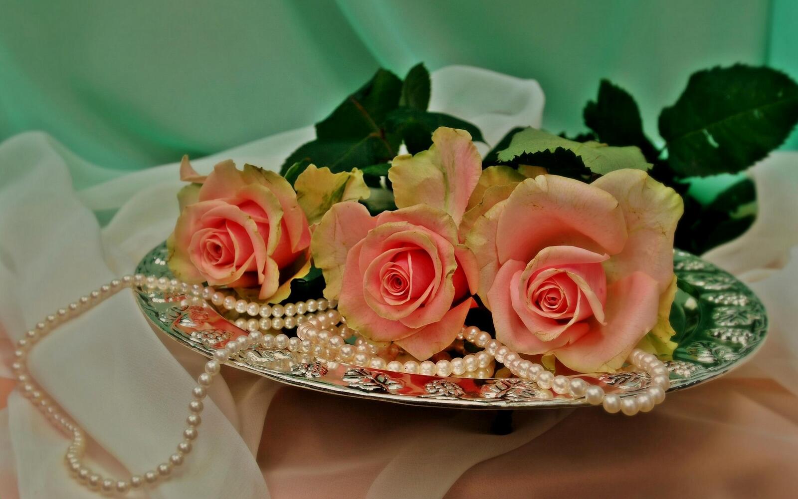 桌面上的壁纸盘 玫瑰 花瓣