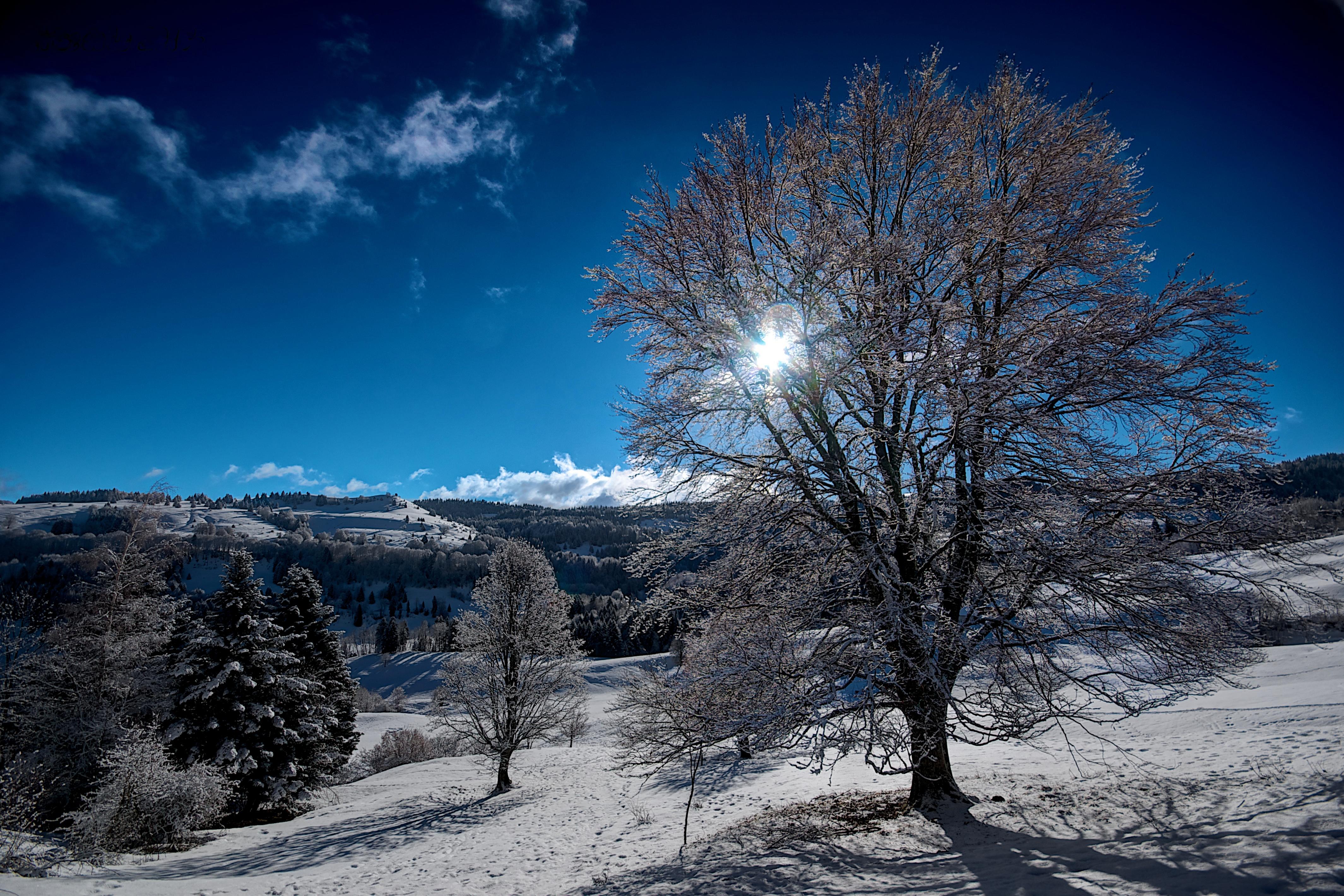Бесплатное фото Заставка снег, горы на монитор