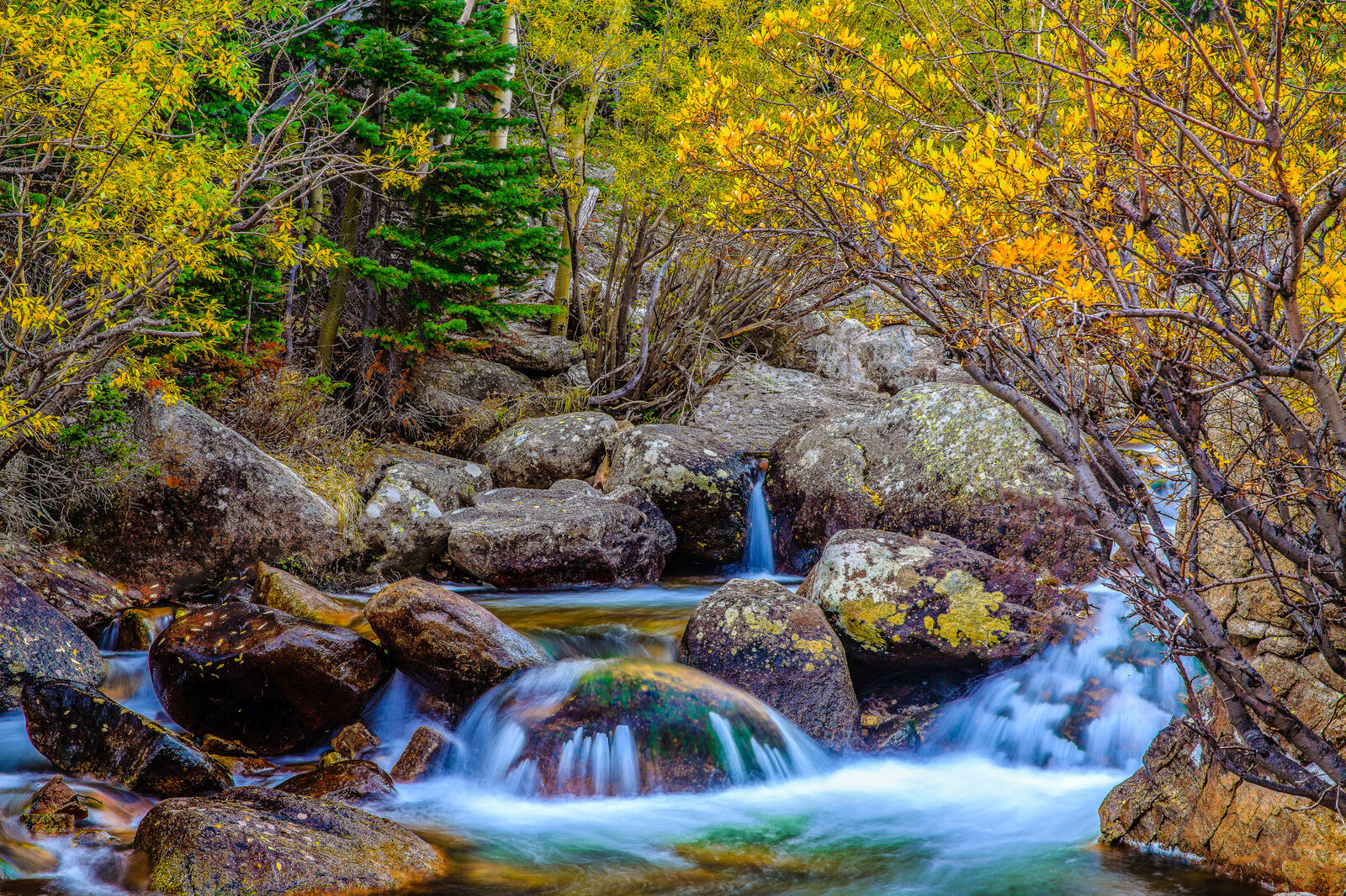 桌面上的壁纸阿尔伯塔省的瀑布 岩石山国家公园 秋季
