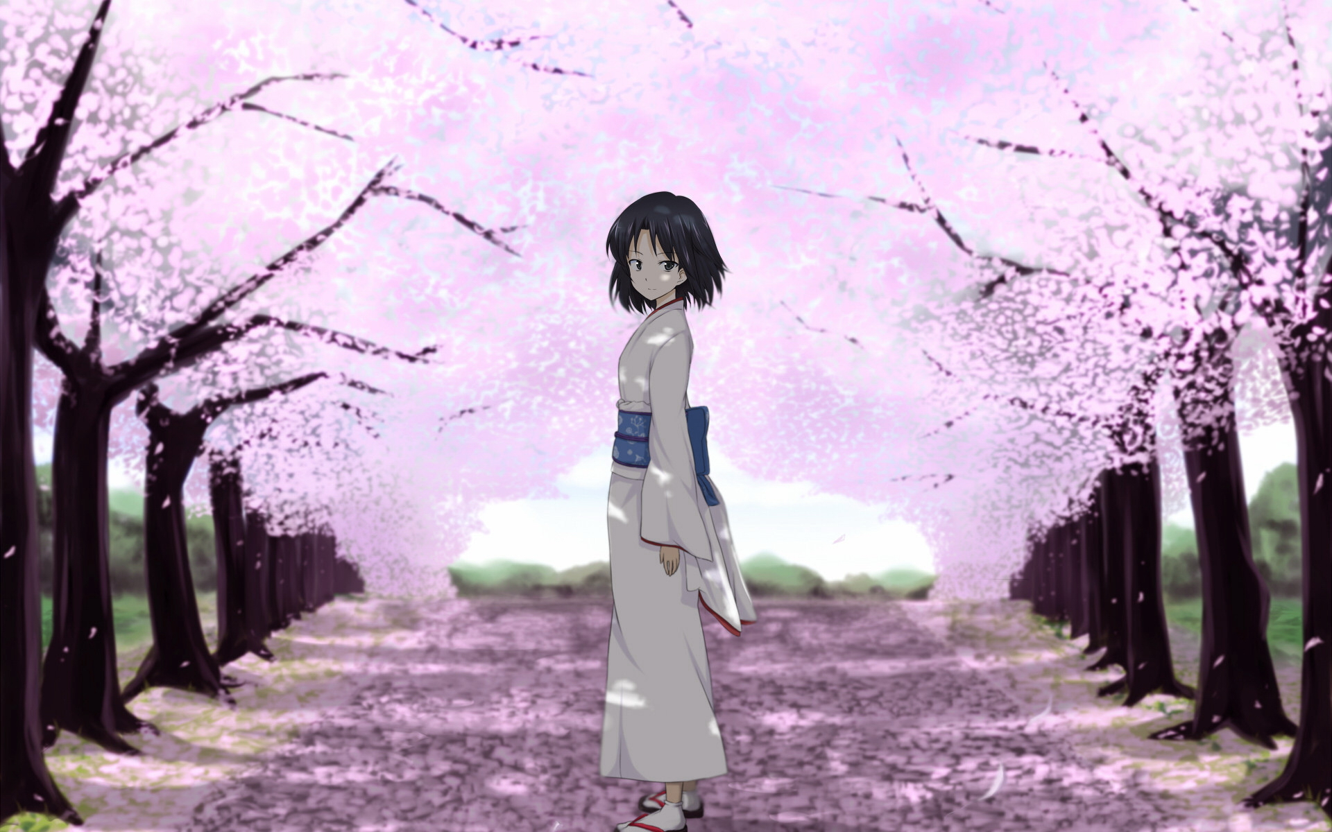 Wallpapers alley trees sakura on the desktop