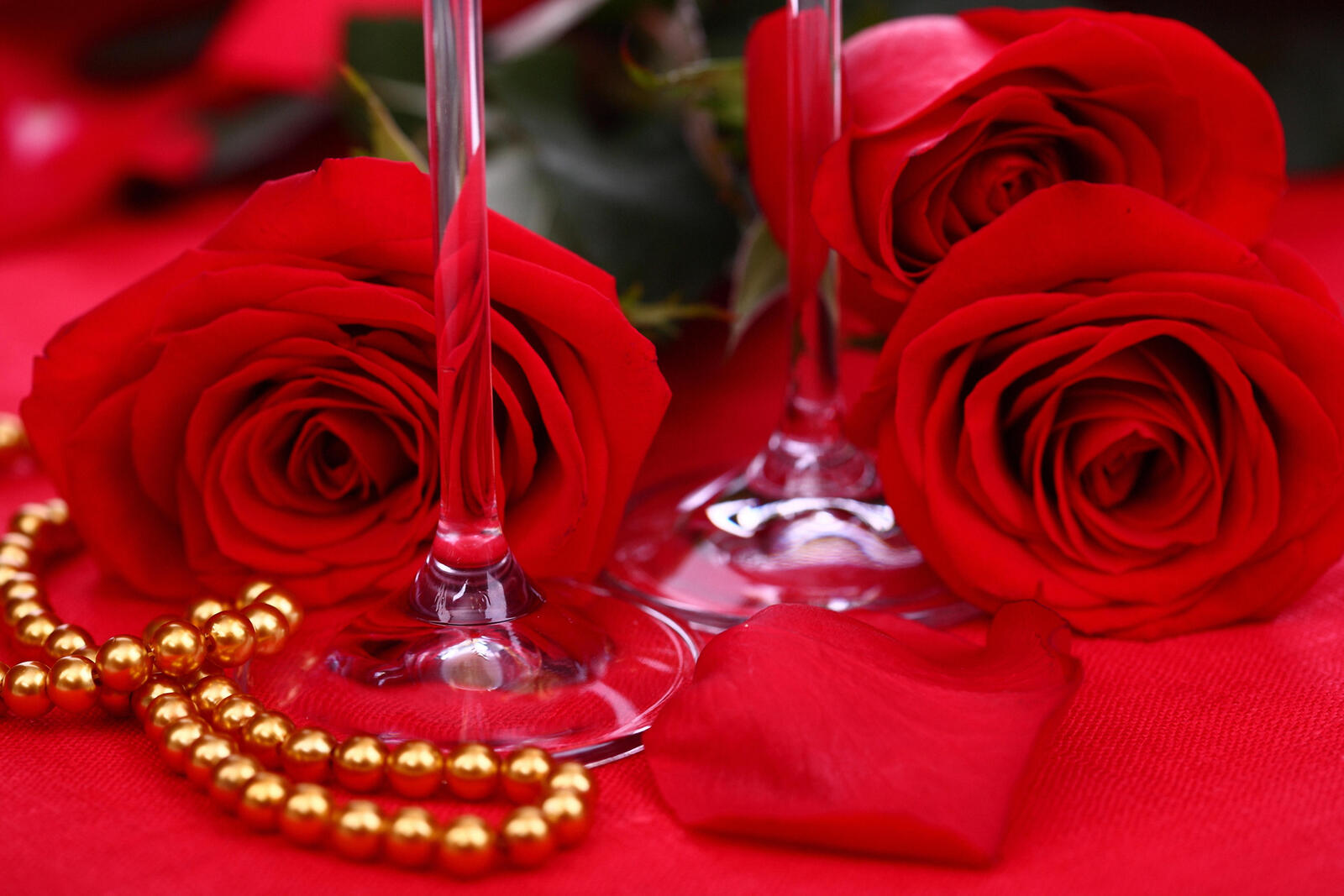桌面上的壁纸红花瓣 玫瑰 红玫瑰
