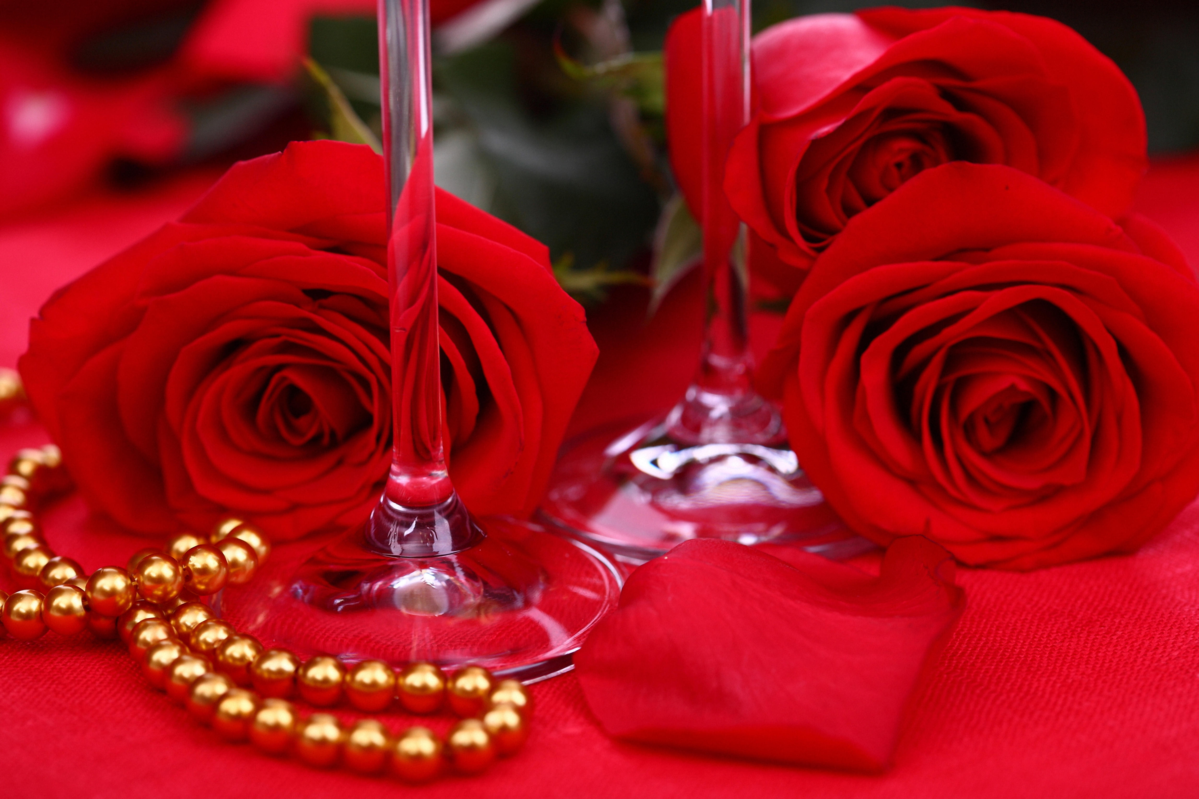 Фото красные лепестки розы красные розы - бесплатные картинки на Fonwall