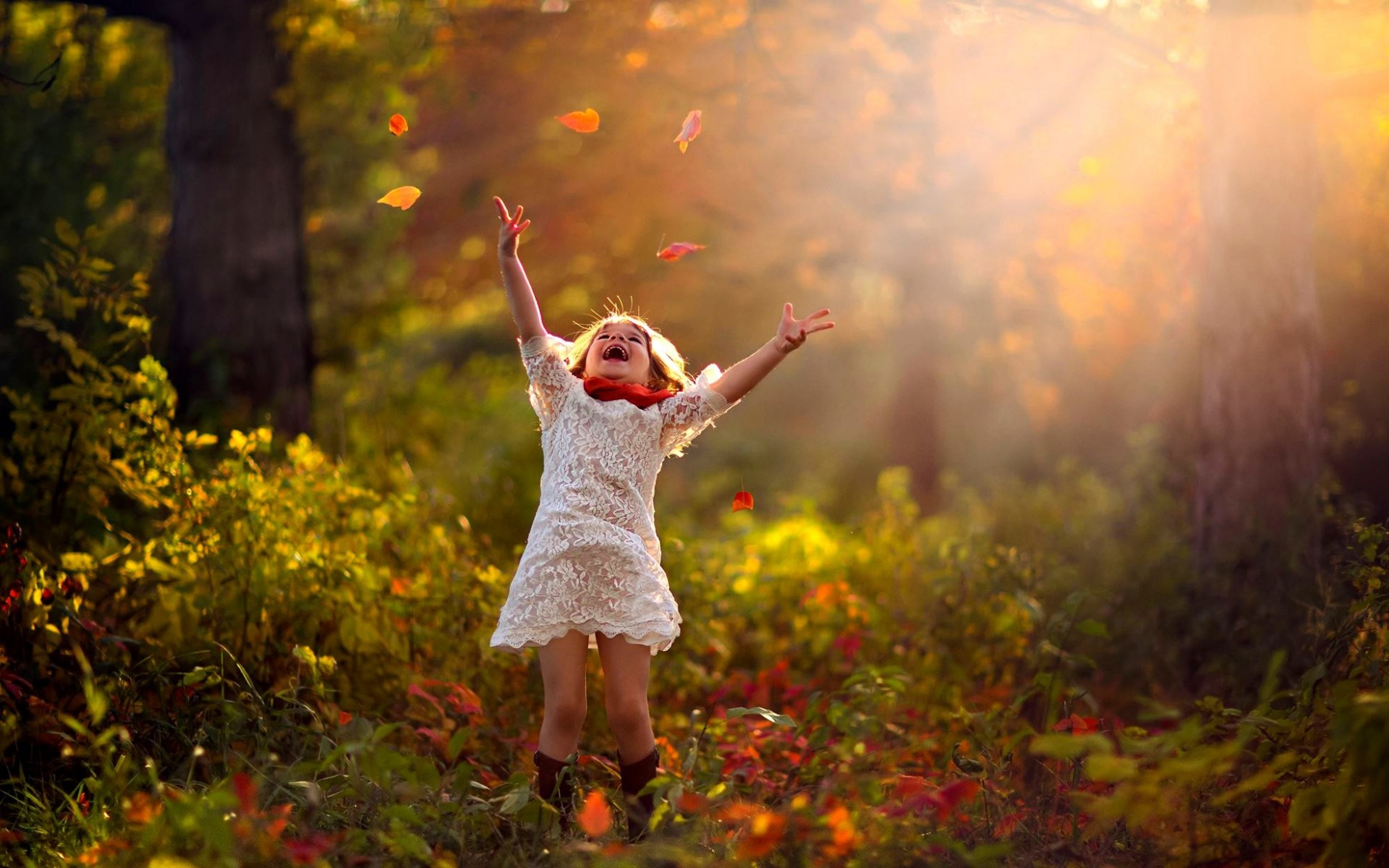 Фото бесплатно ребенок, девочка, лес