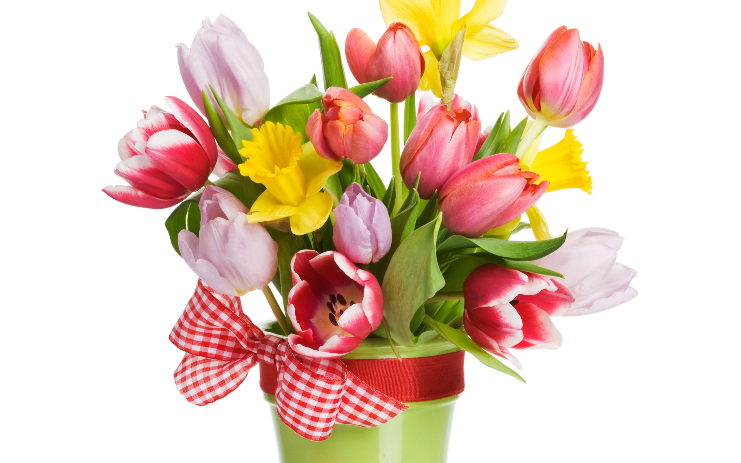 Фото бесплатно тюльпаны, лепестки, цветные