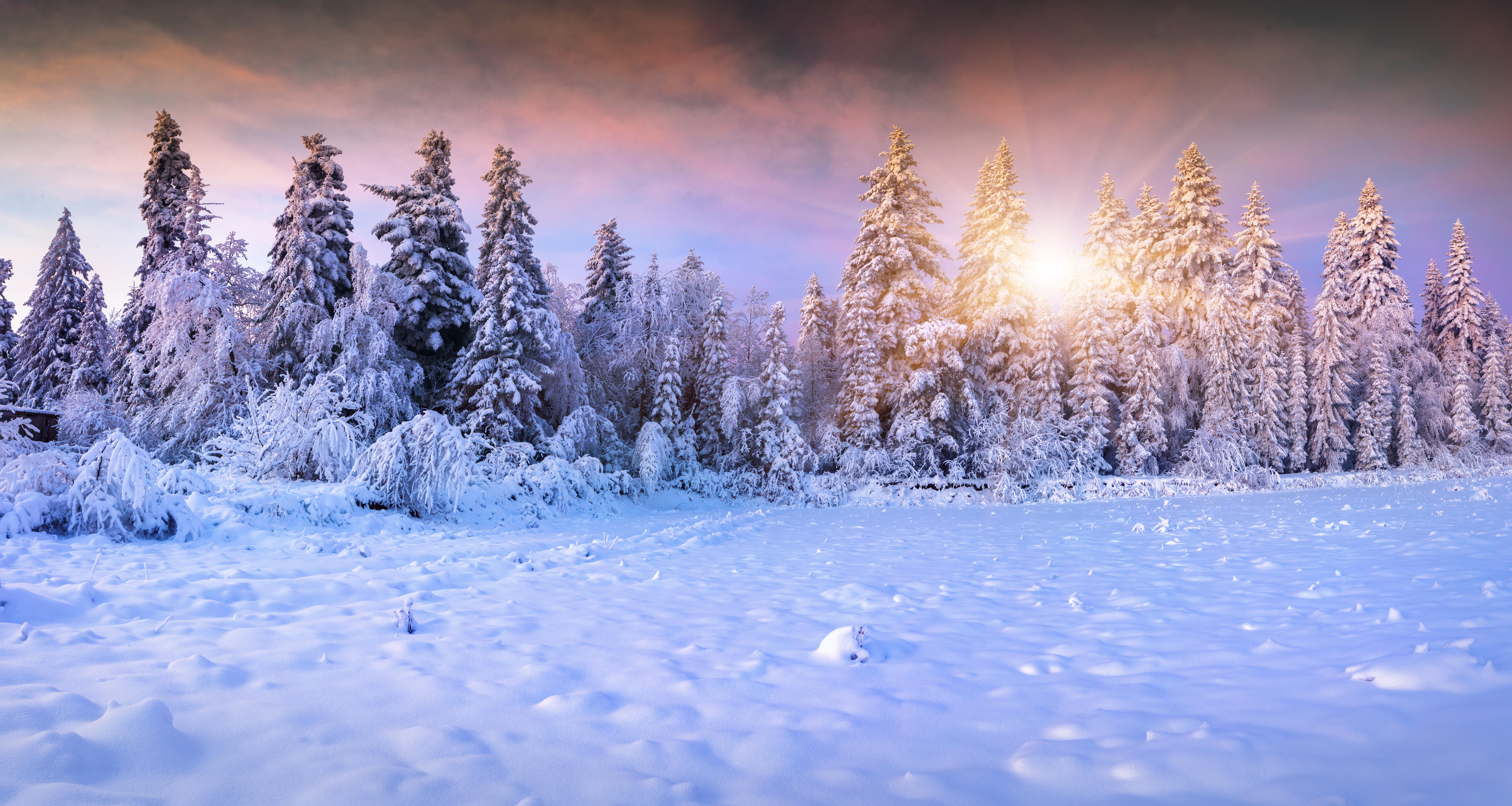 Фото бесплатно пейзажи, зимний вечер, деревья