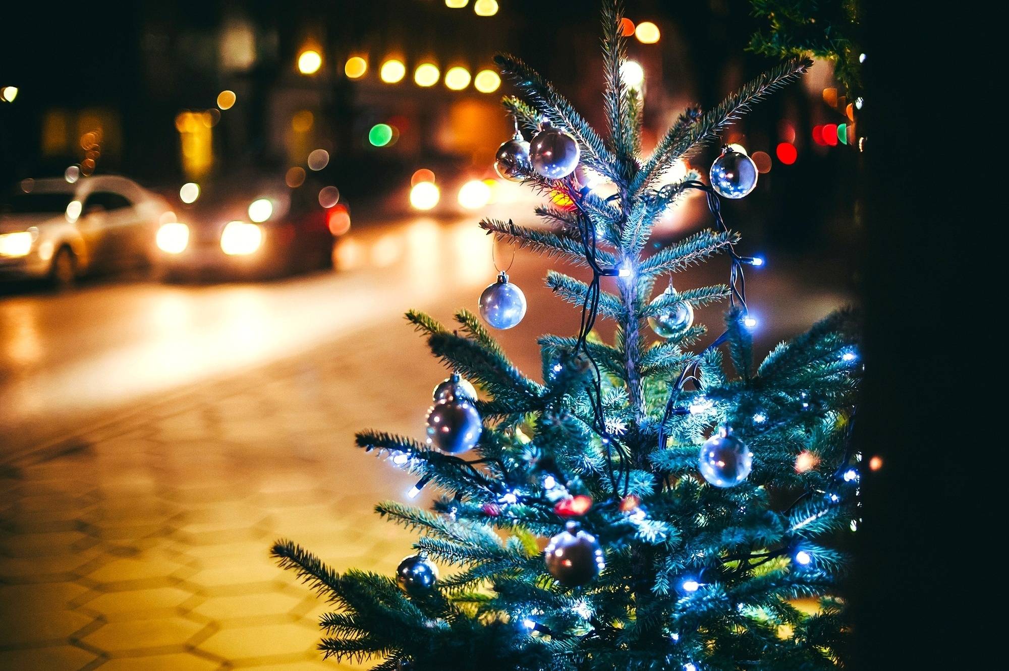 Wallpapers christmas tree pavement road on the desktop