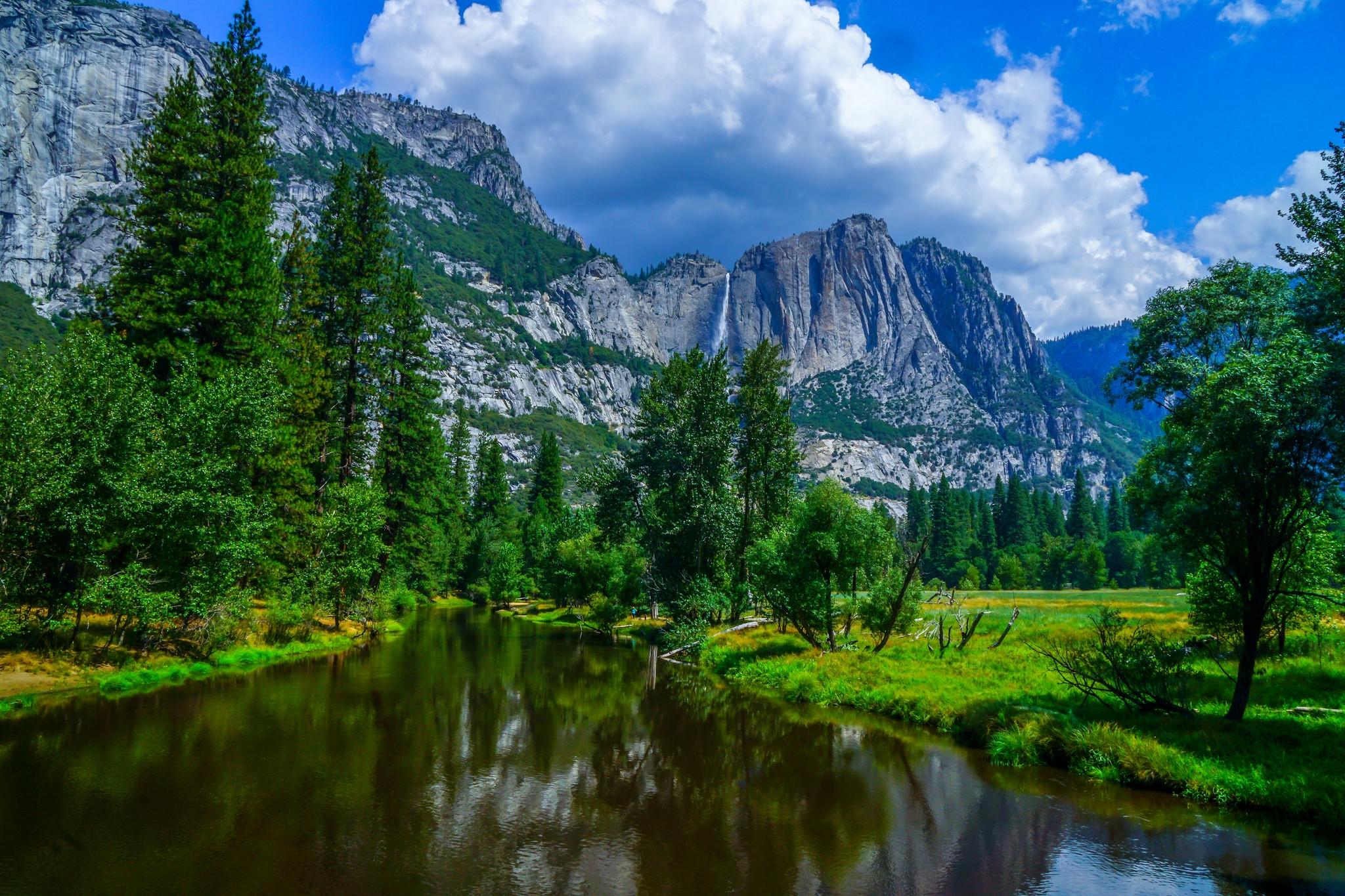 Wallpapers forest Yosemite National Park USA on the desktop