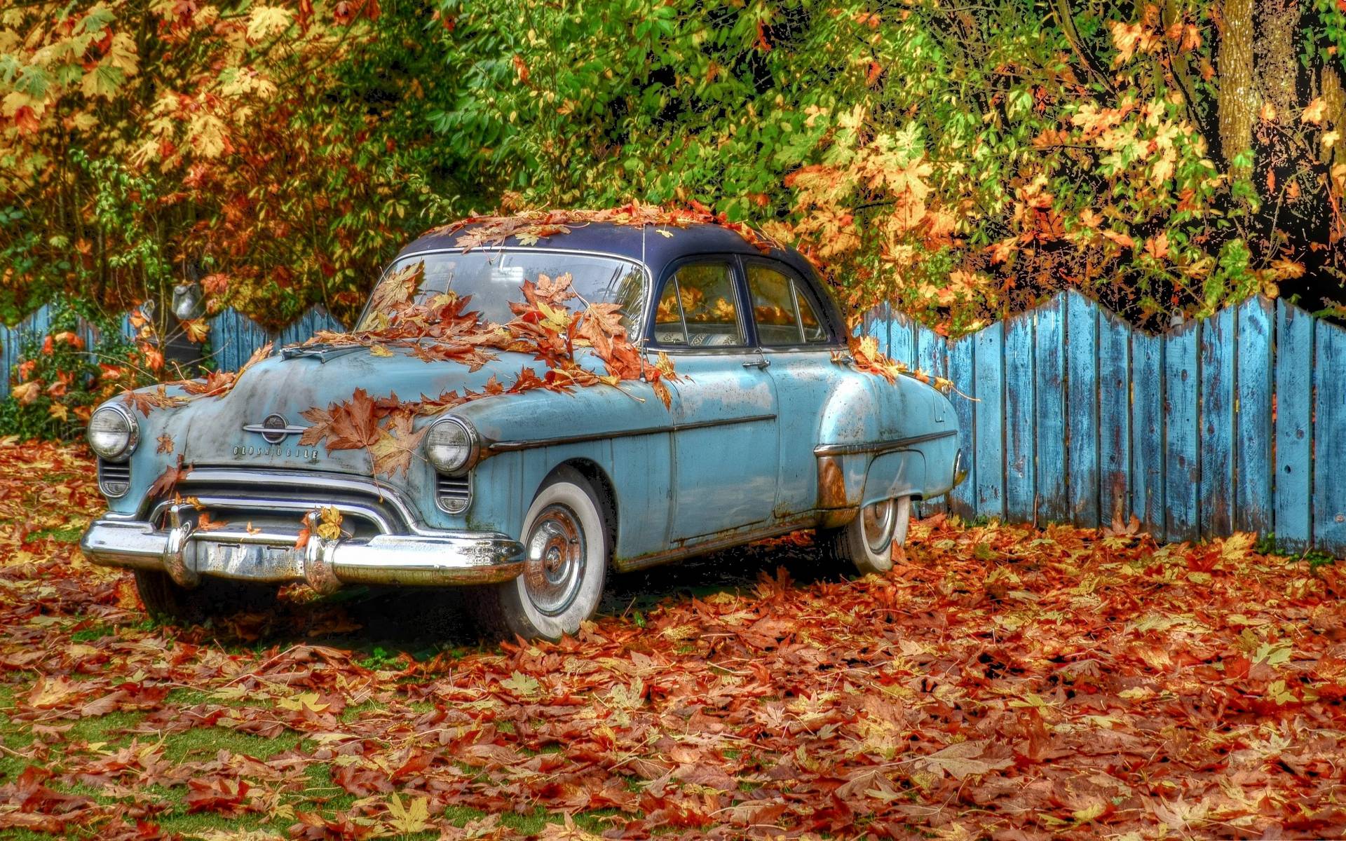 桌面上的壁纸老式汽车 稀有性 秋季