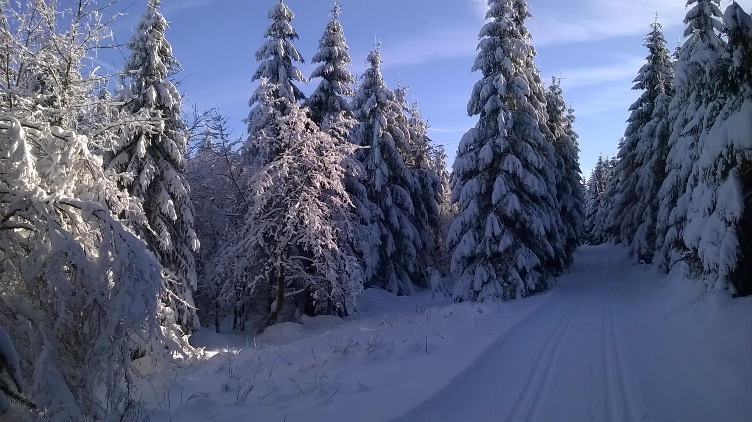 Обои зима деревья в снегу зимняя дорога на рабочий стол