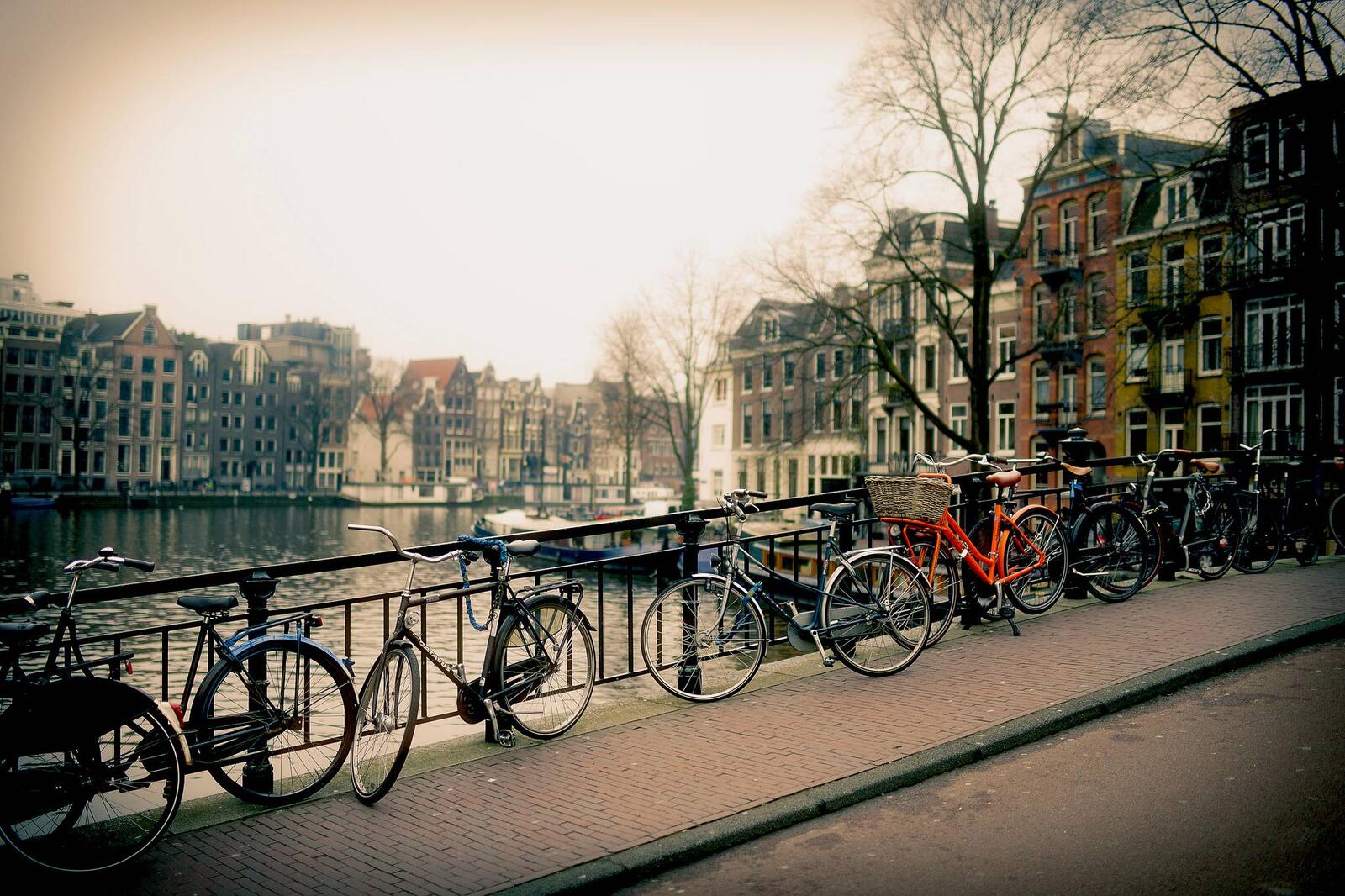 Обои Голландия велосипеды столица и крупнейший город нидерландов на рабочий стол