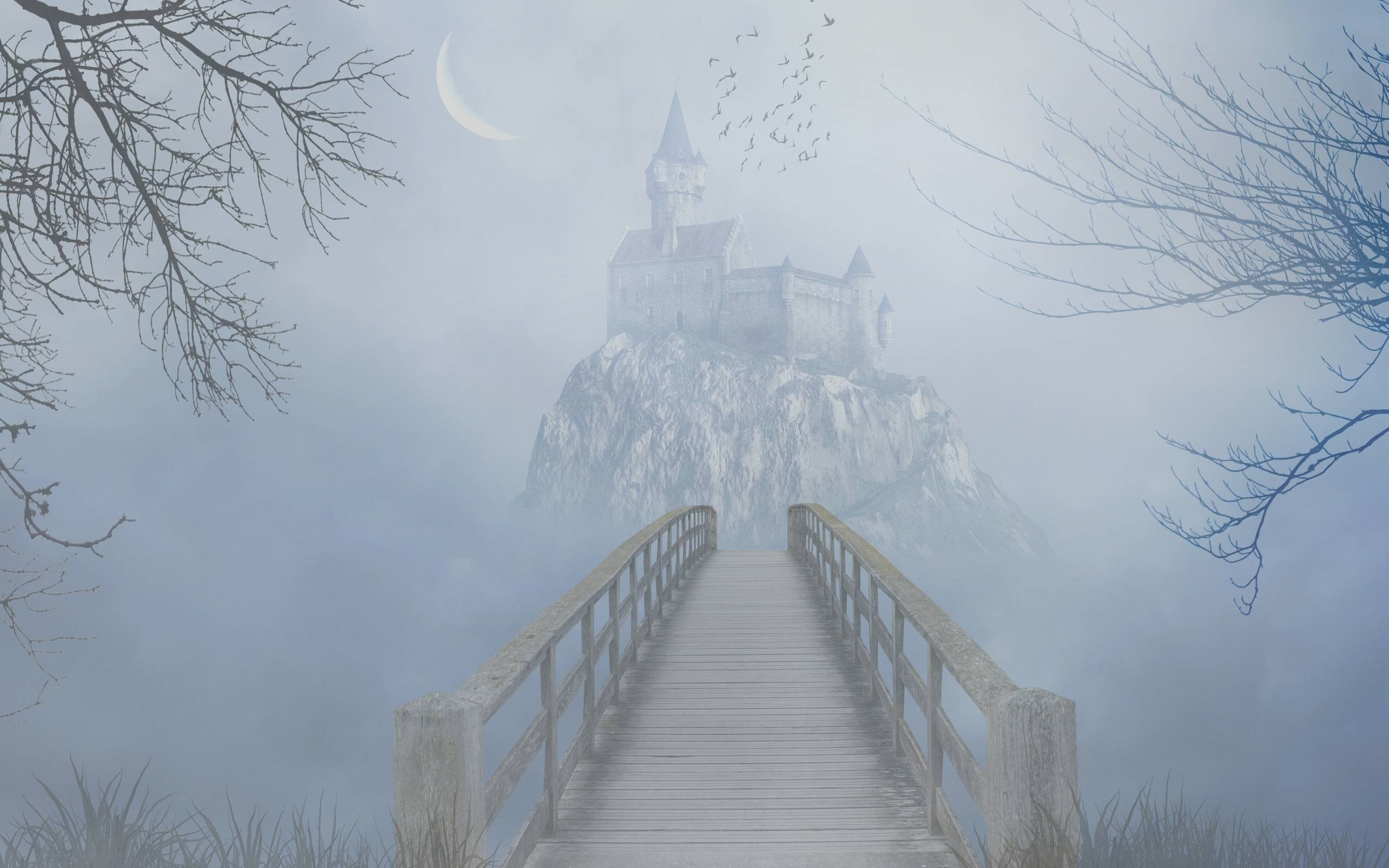 Wallpapers bridge path to the castle fog on the desktop
