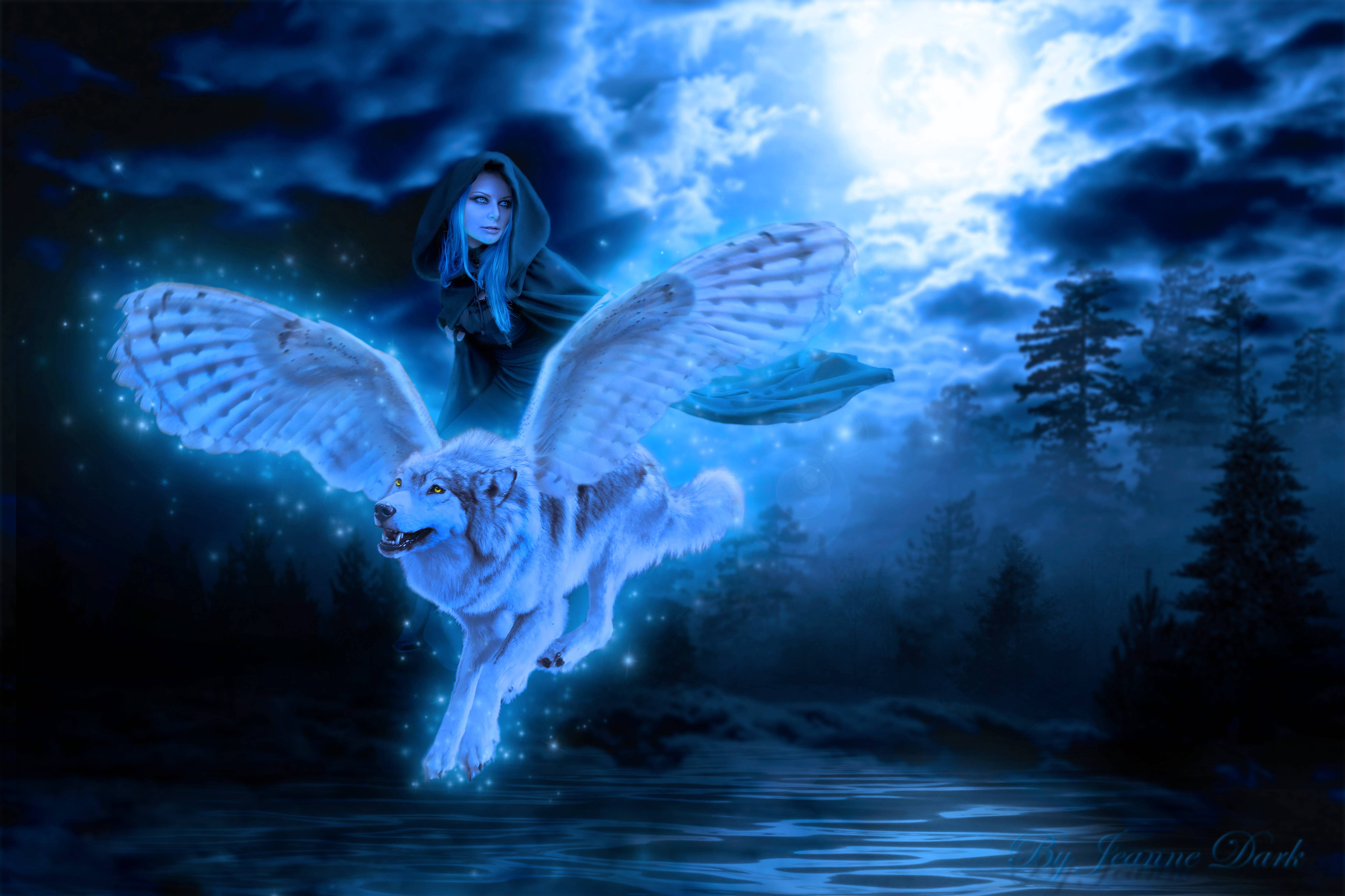 Wallpapers night girl winged wolf on the desktop