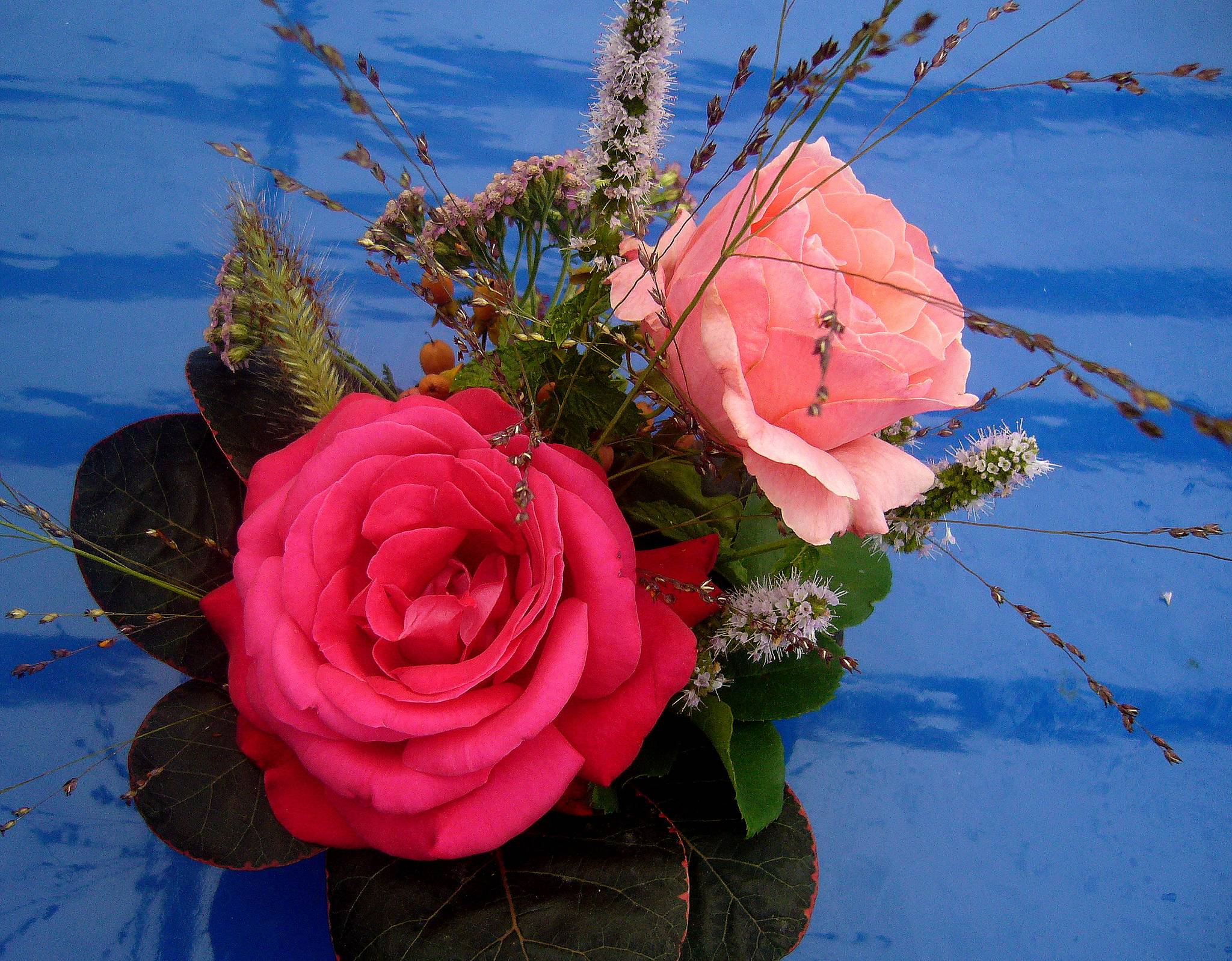 桌面上的壁纸玫瑰 粉红玫瑰 红玫瑰