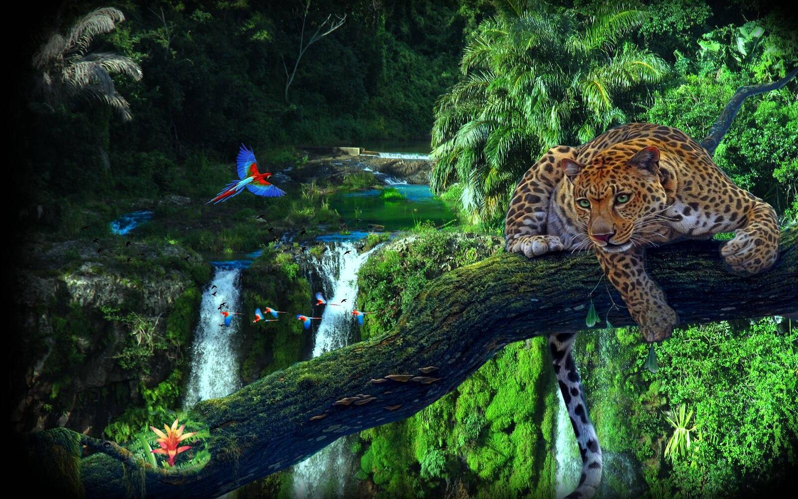 Wallpapers waterfall leopard tree on the desktop