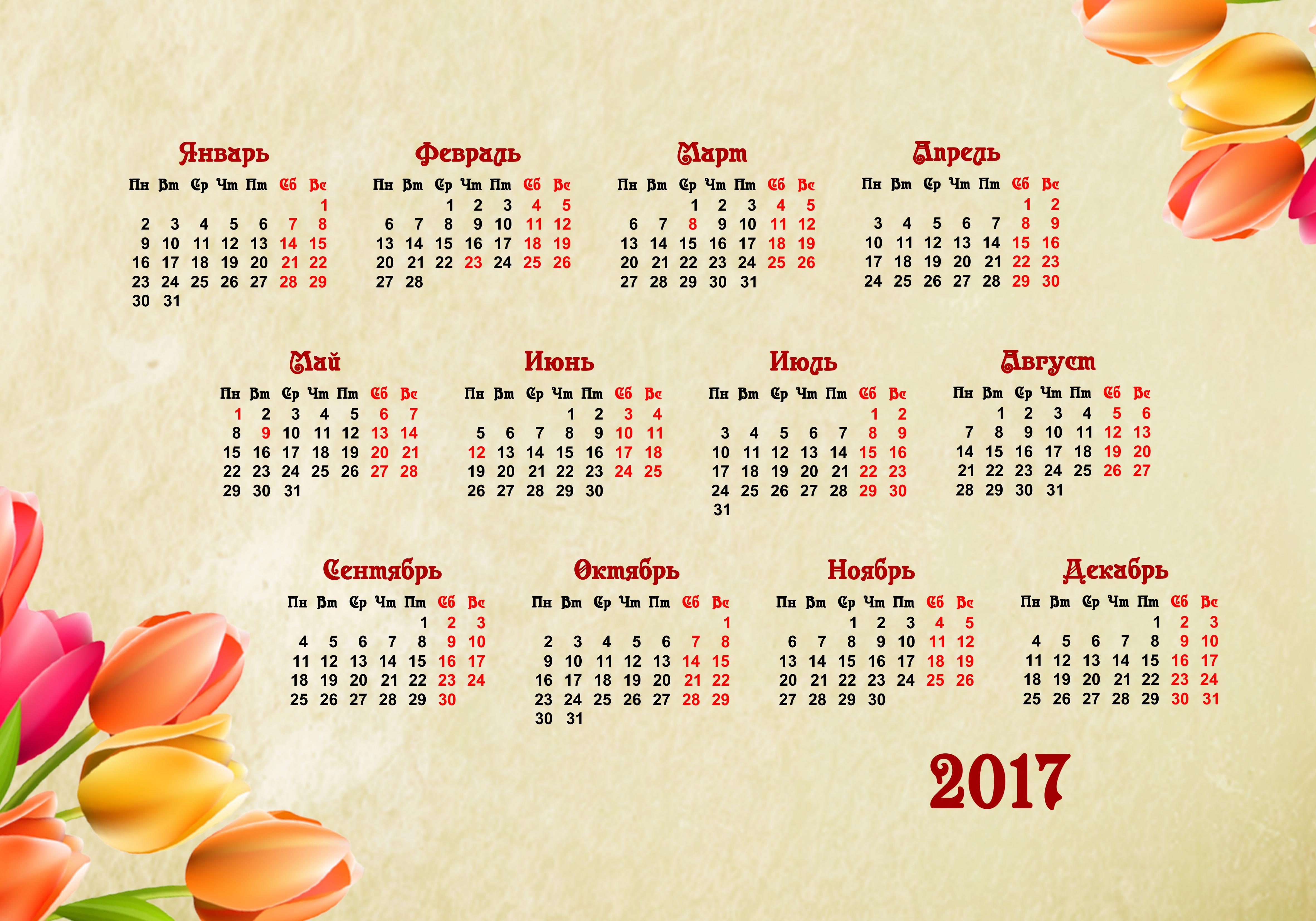 Wallpapers 2017 year of the rooster calendar grid for 2017 on the desktop