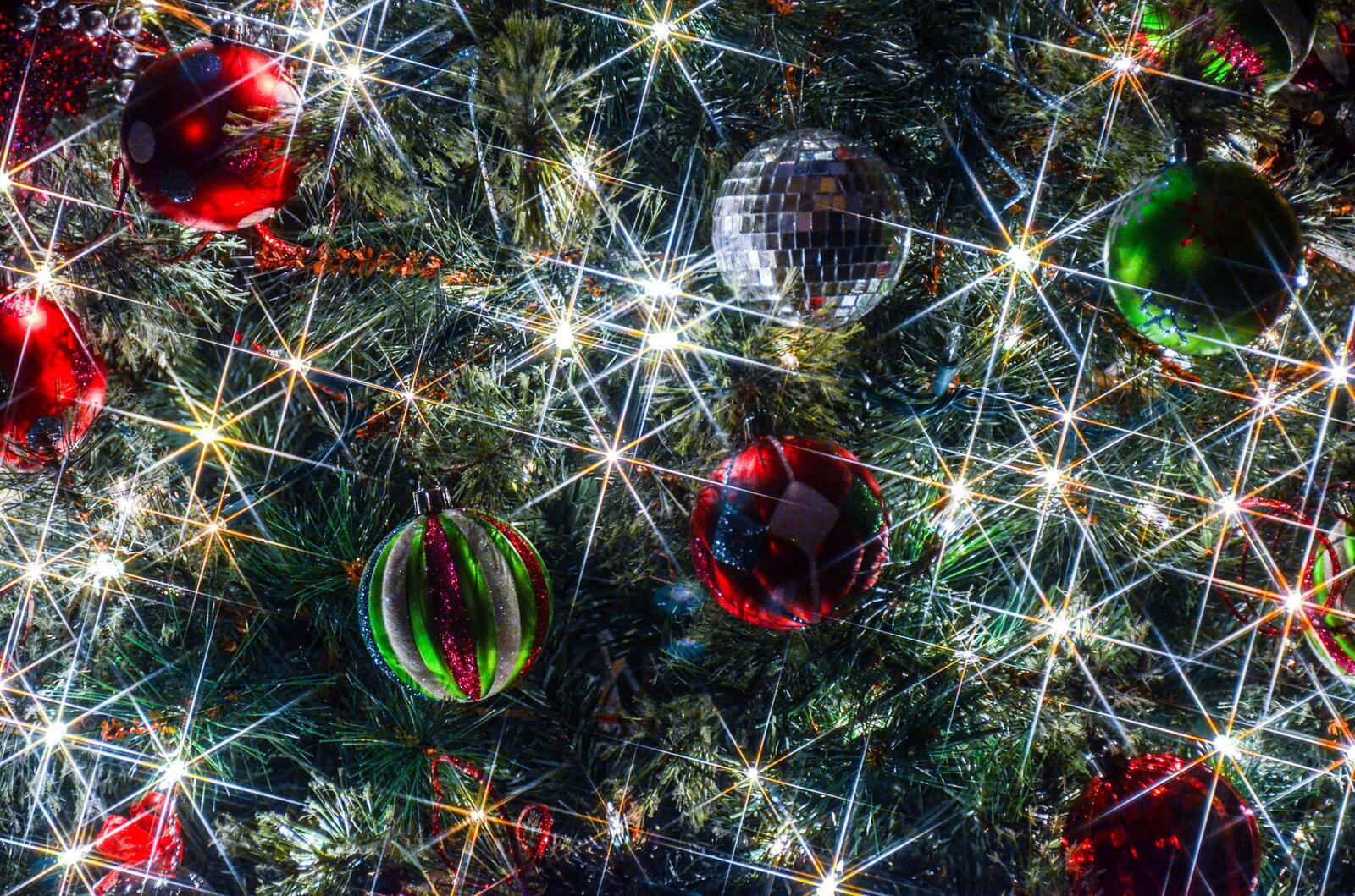Wallpapers Christmas toys Christmas tree lights new year on the desktop