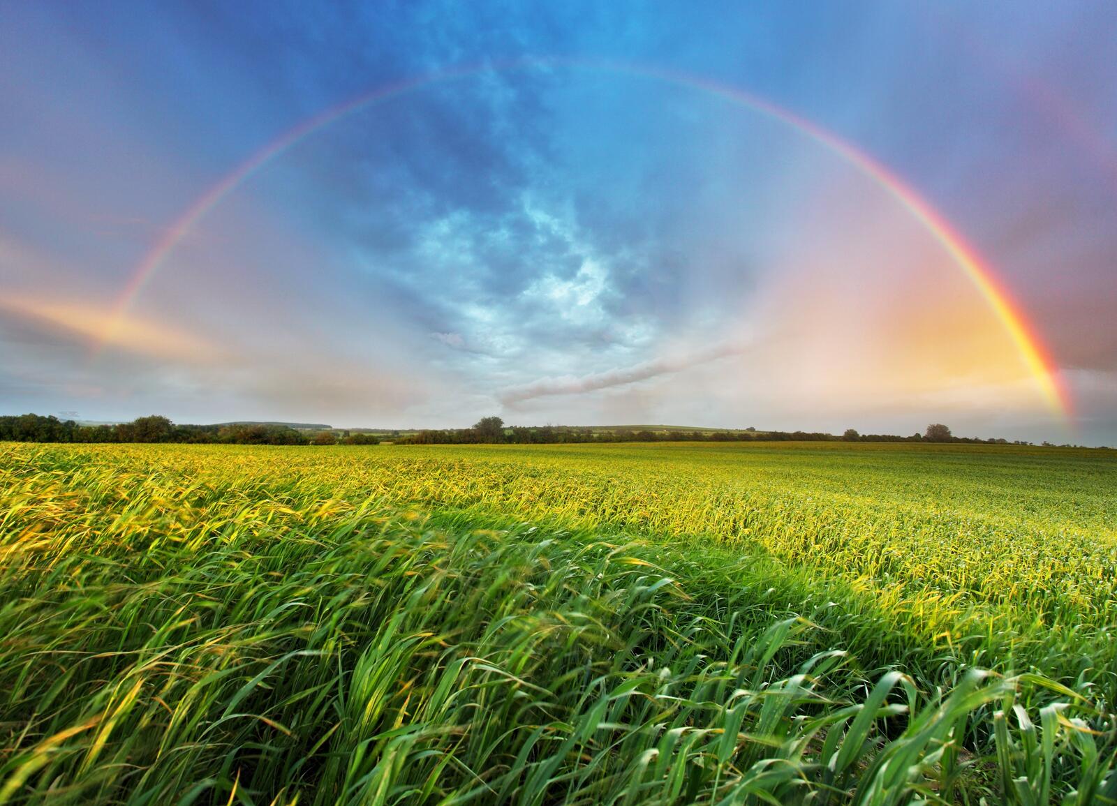 Wallpapers rainbow and field space landscapes on the desktop