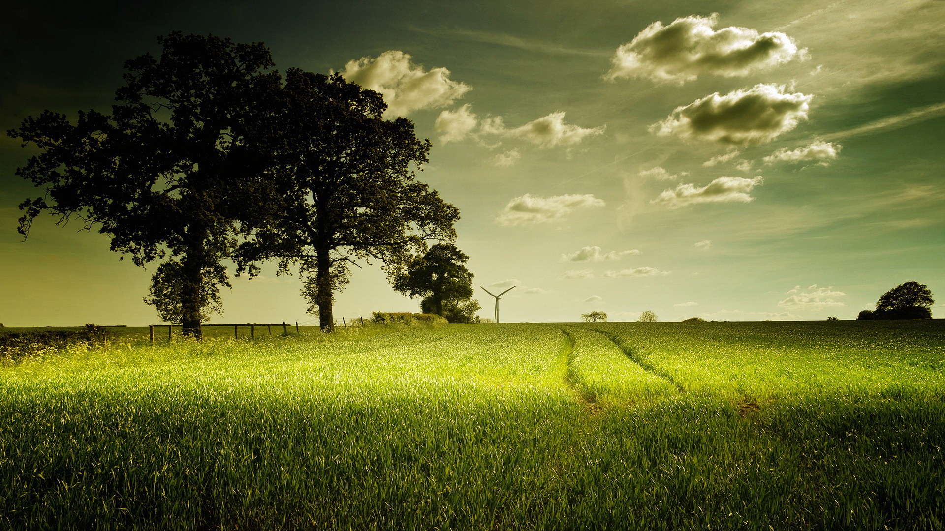 Фото бесплатно трава, дорога по полю, зеленое поле