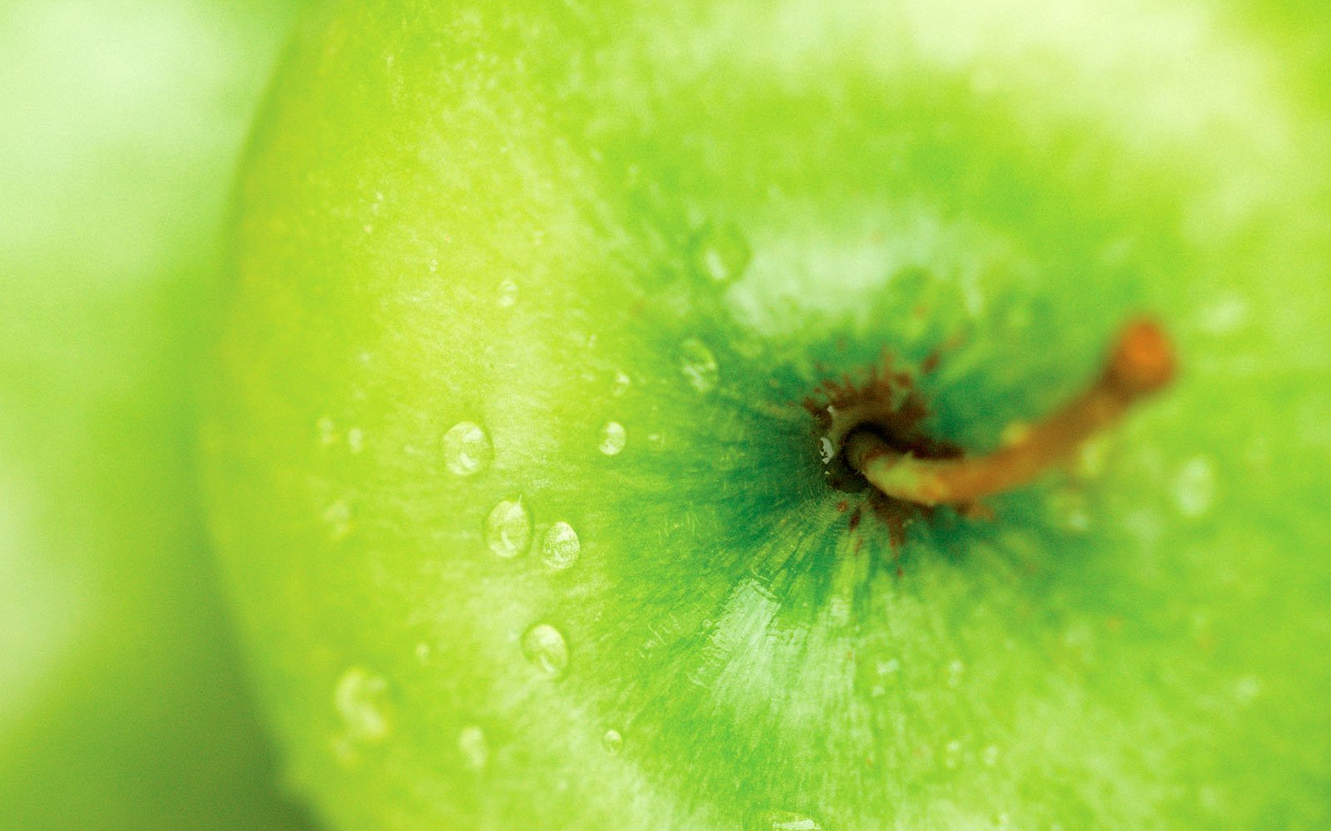 Wallpapers tail water fruit on the desktop