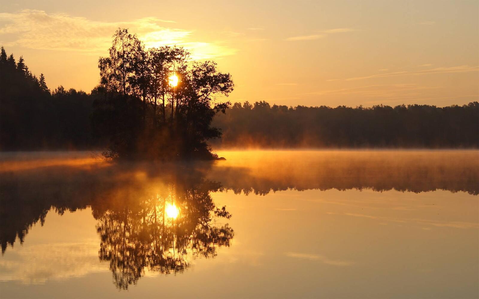 Обои озеро в лесу деревья восход на рабочий стол