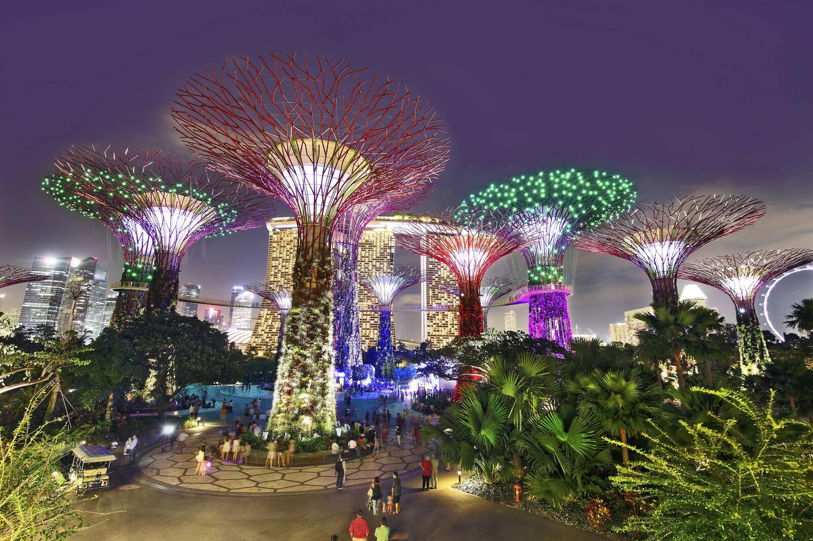 Обои Сингапур подсветка освещение на рабочий стол
