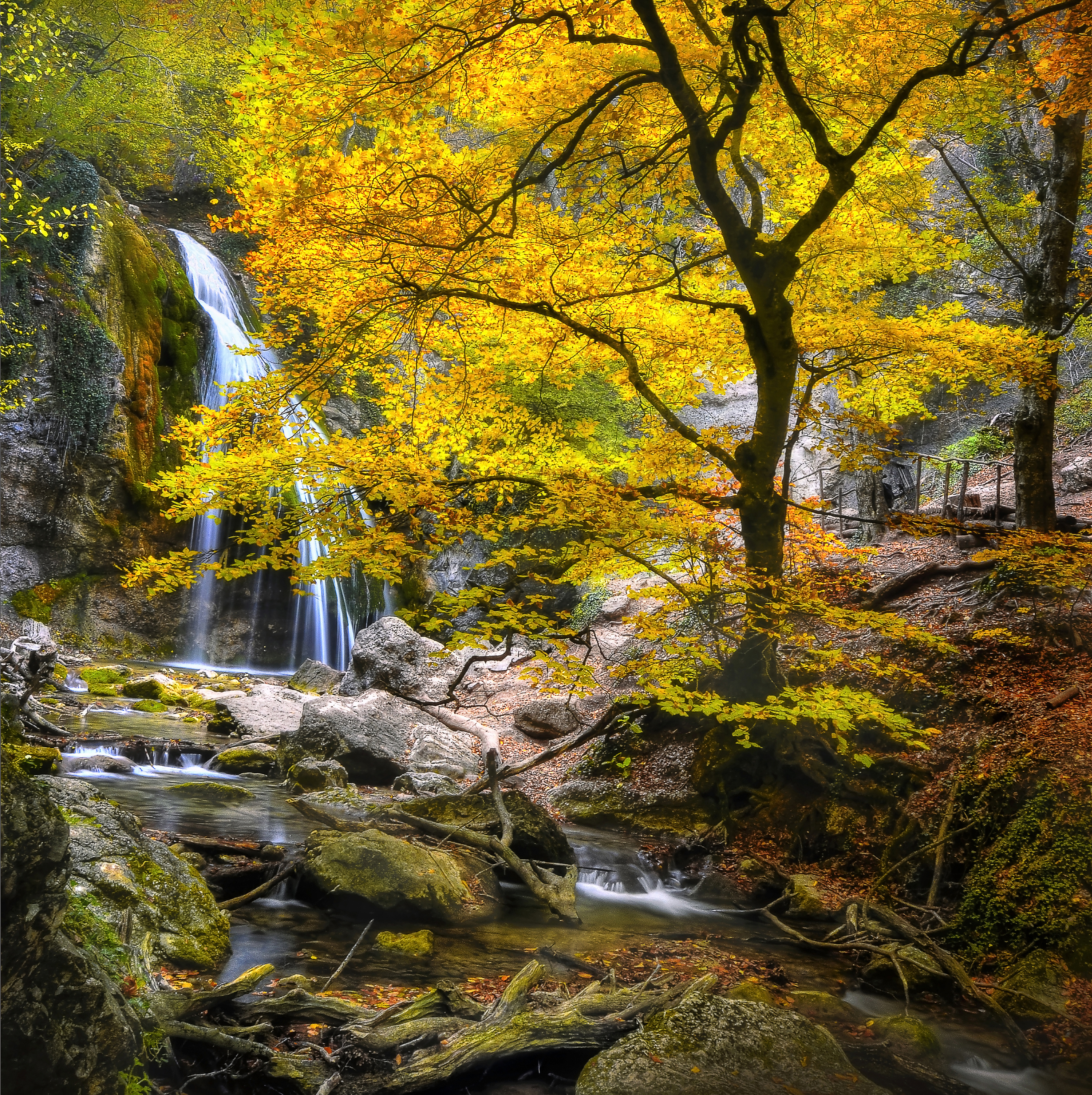 Фото бесплатно лес, скалы, желтая листва