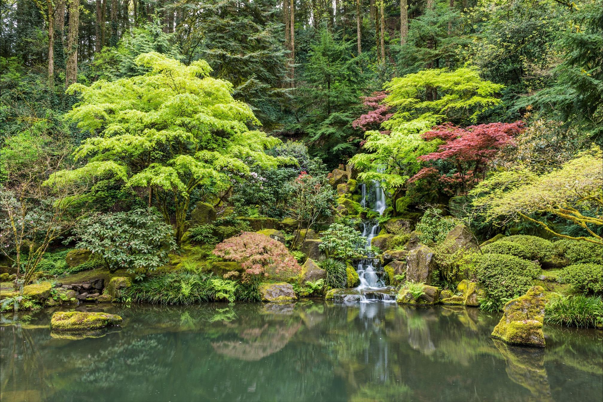 桌面上的壁纸波特兰的日本花园 美国 景观