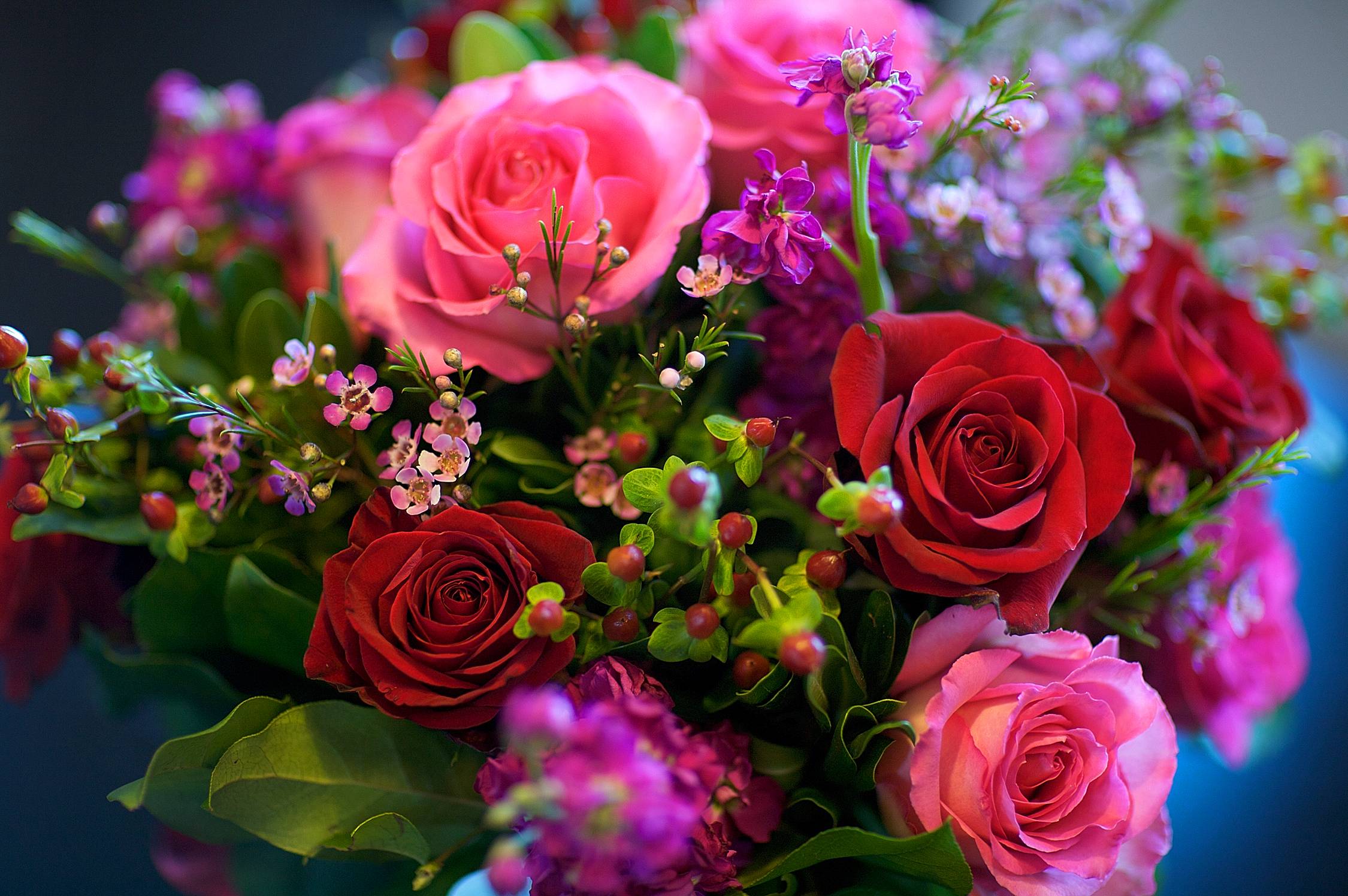 -cvetok-cvety-flora-roza.jpg