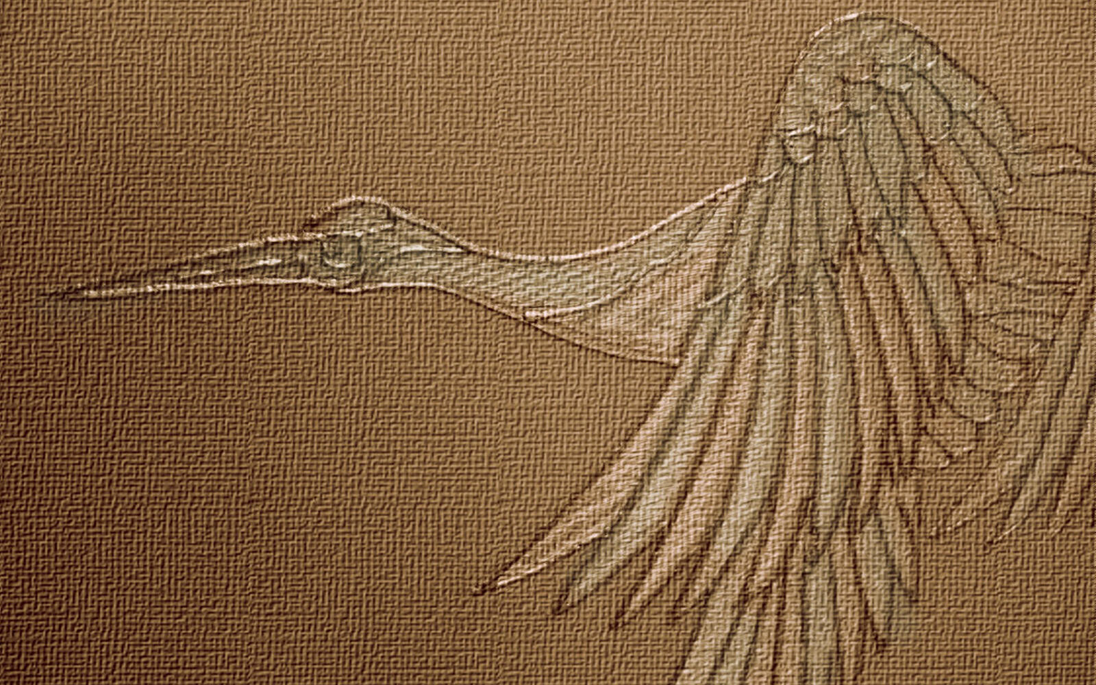 Wallpapers material pattern bird on the desktop