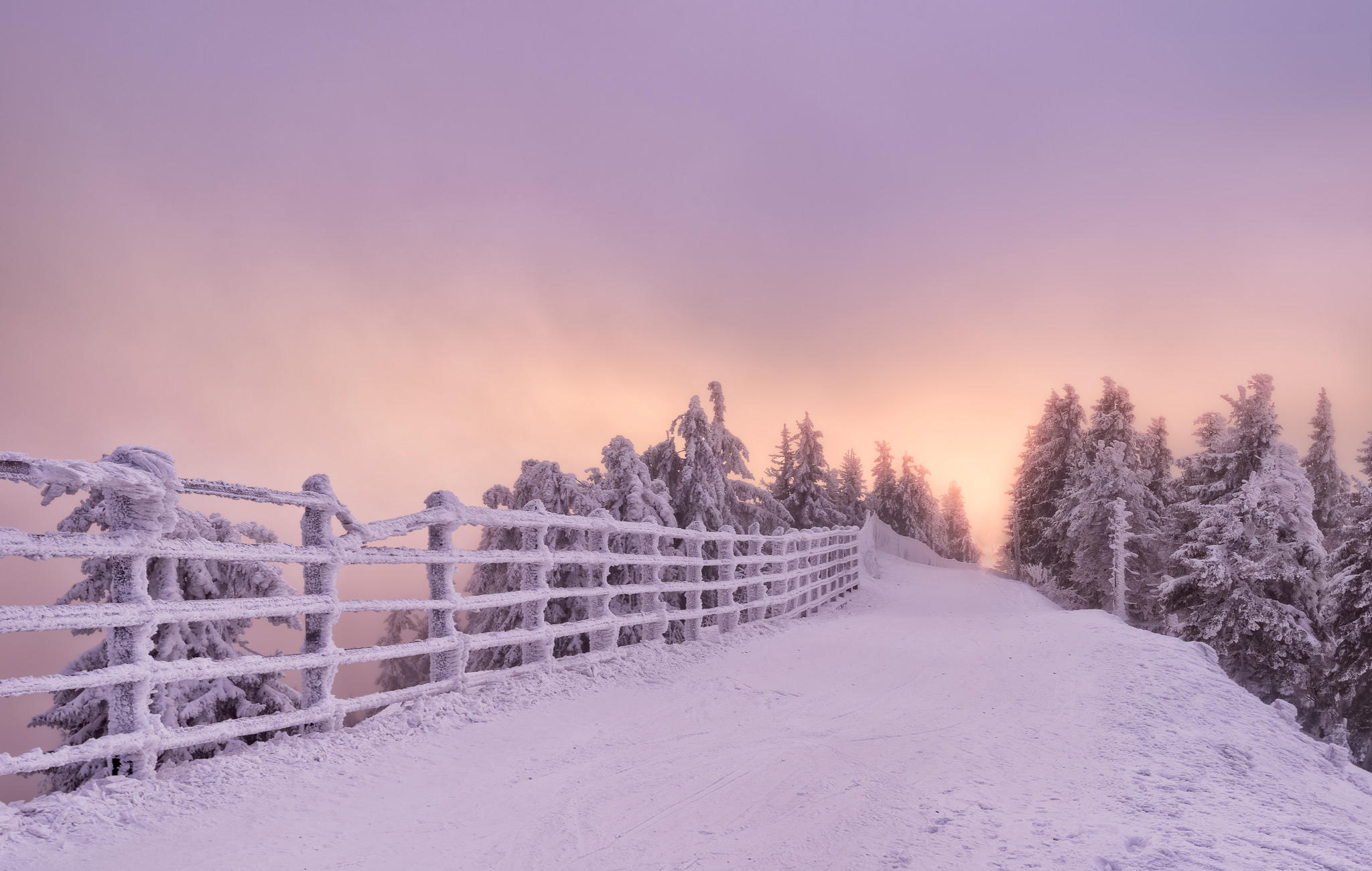 Фото бесплатно деревья в снегу, пейзажи, забор
