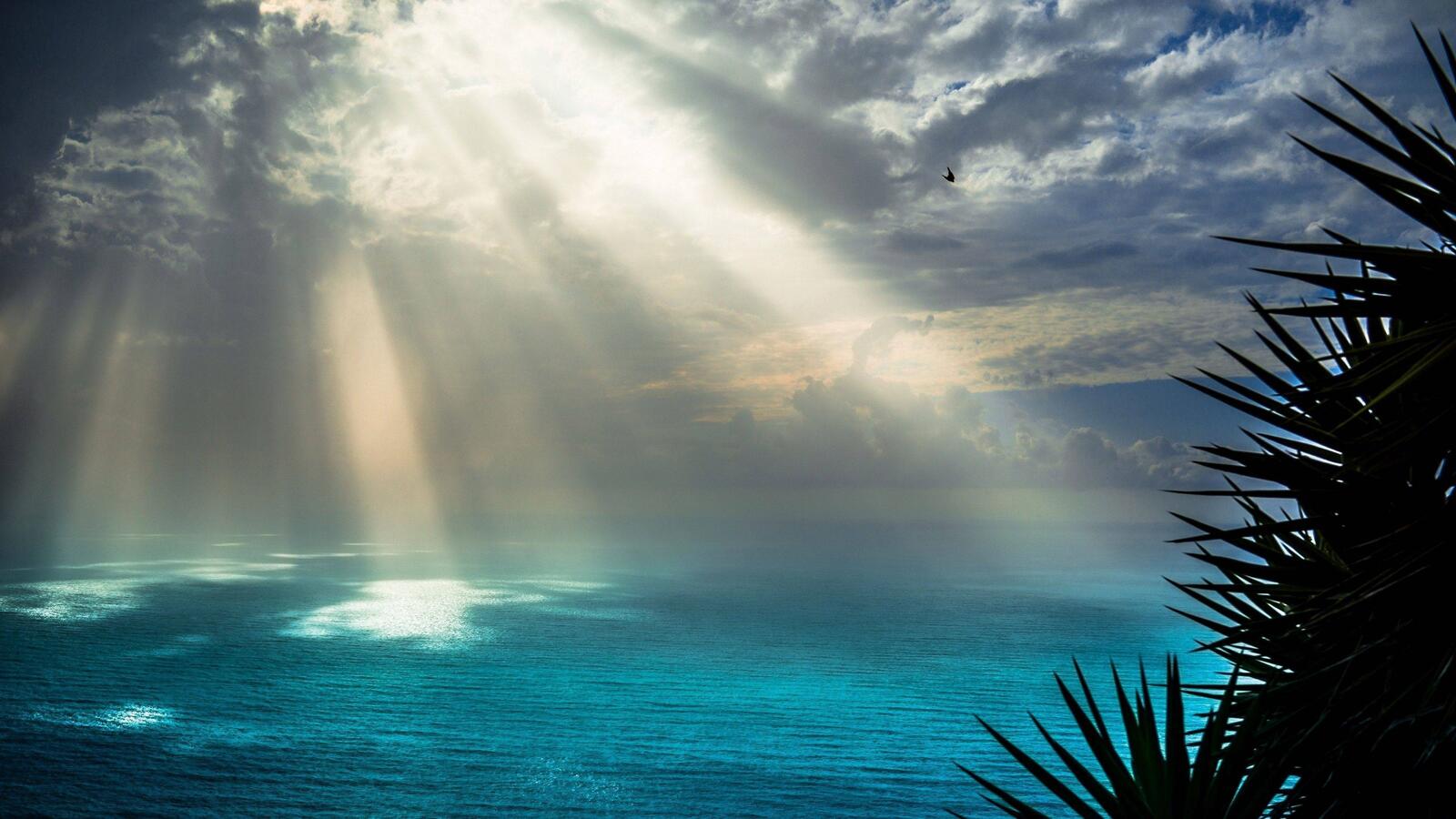 Wallpapers rays of the sun clouds sea on the desktop