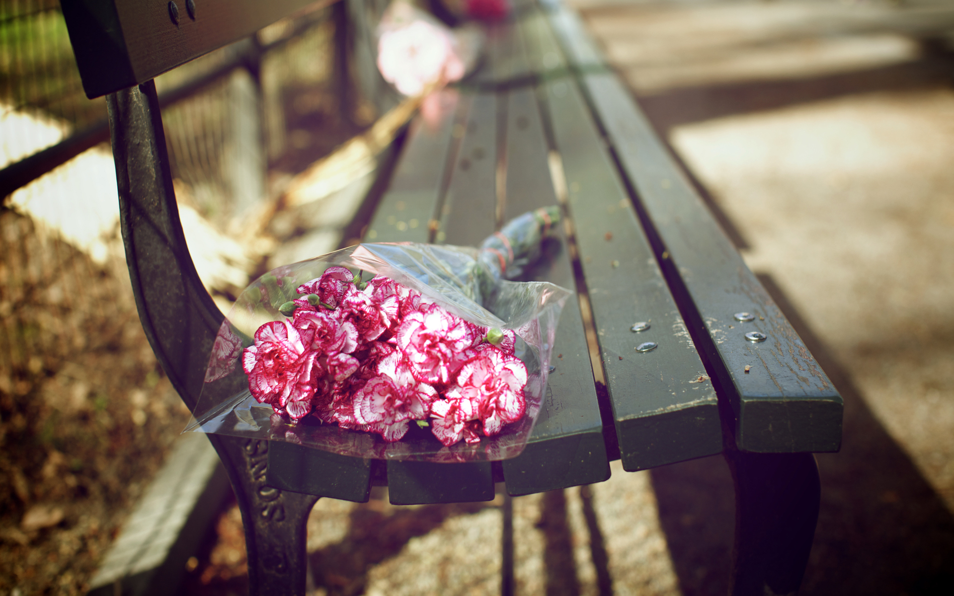 桌面上的壁纸长凳 鲜花 花束