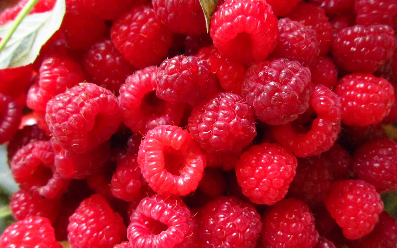 Обои ягода малина спелая на рабочий стол