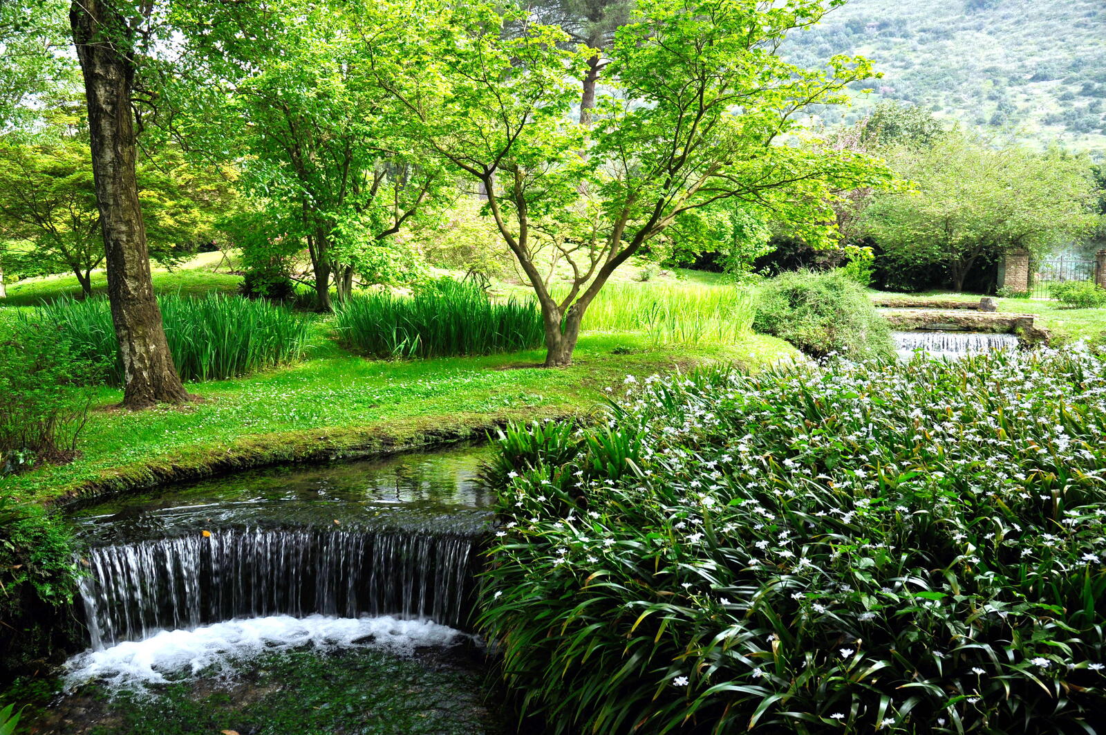 Обои Нинфа ландшафтный сад в Чистерна-ди-Латина в провинции Латина на рабочий стол