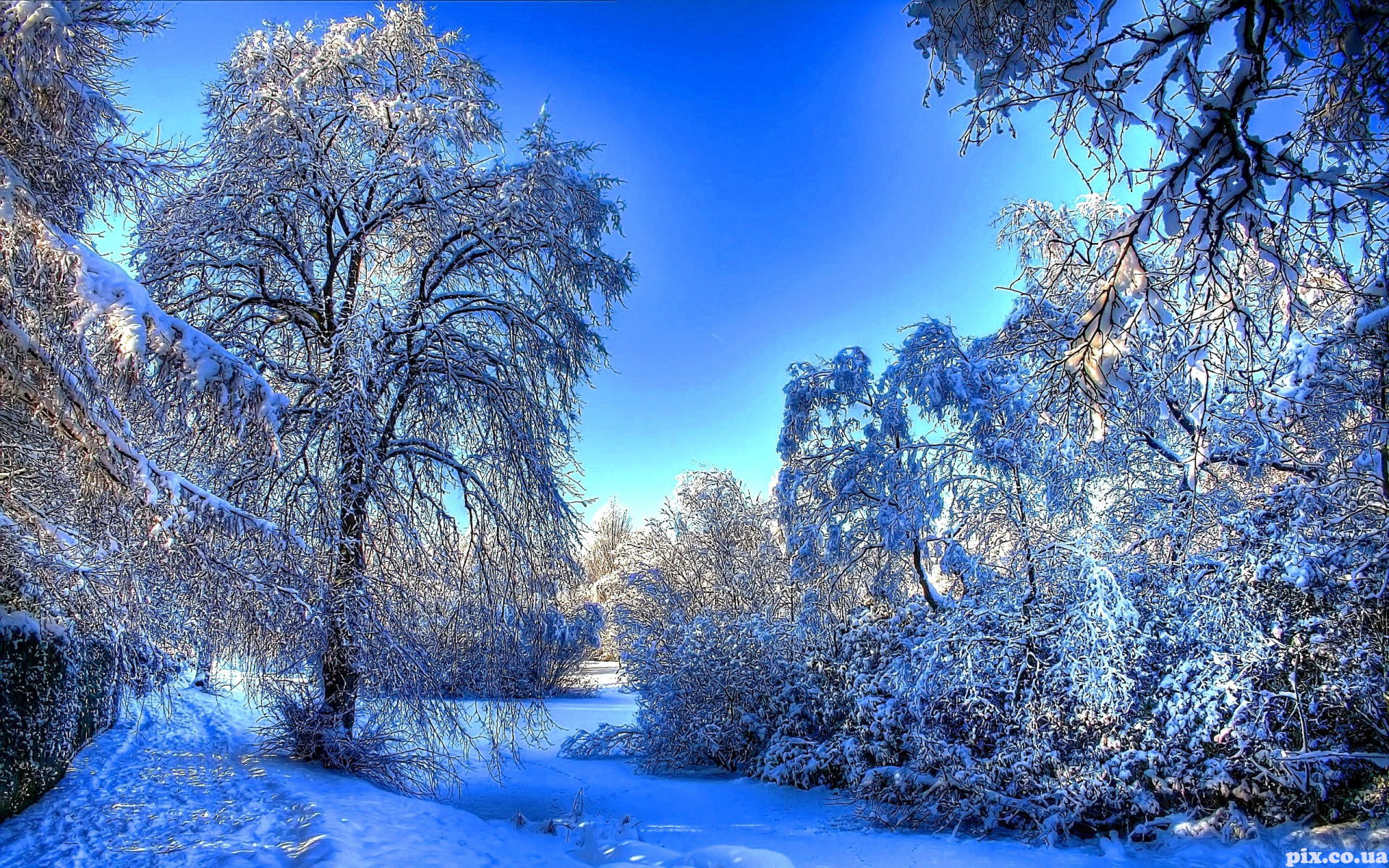 Обои зима природа зимний пейзаж на рабочий стол