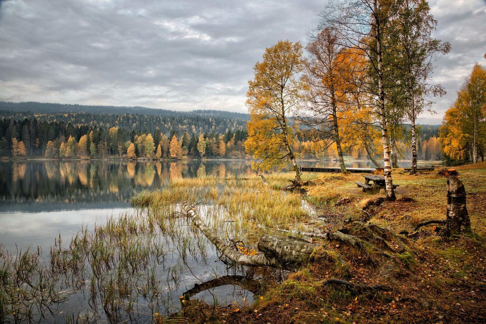 Обои осень озеро Норвегия на рабочий стол