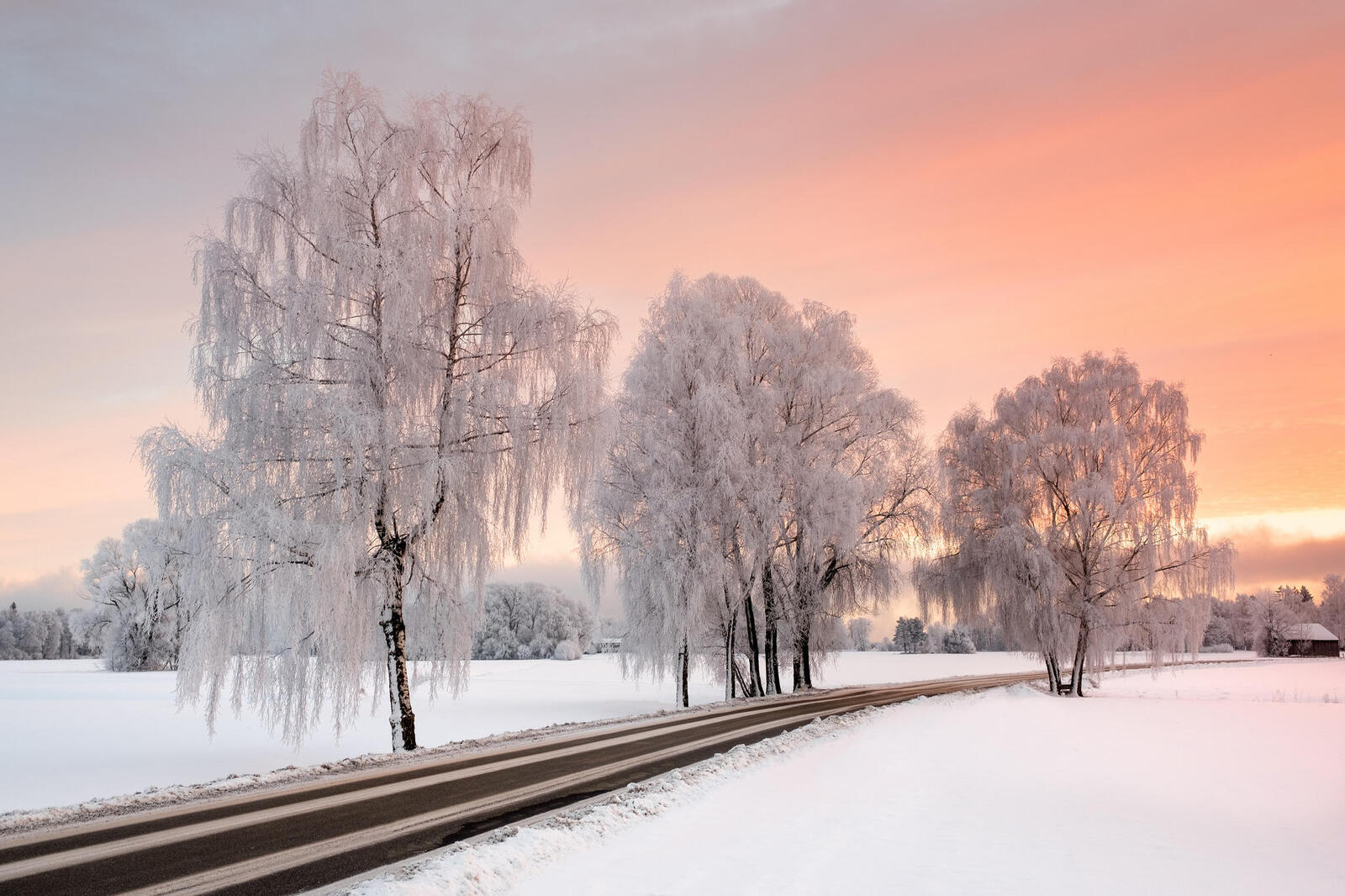 Бесплатное фото Красивые обои зима, пейзаж