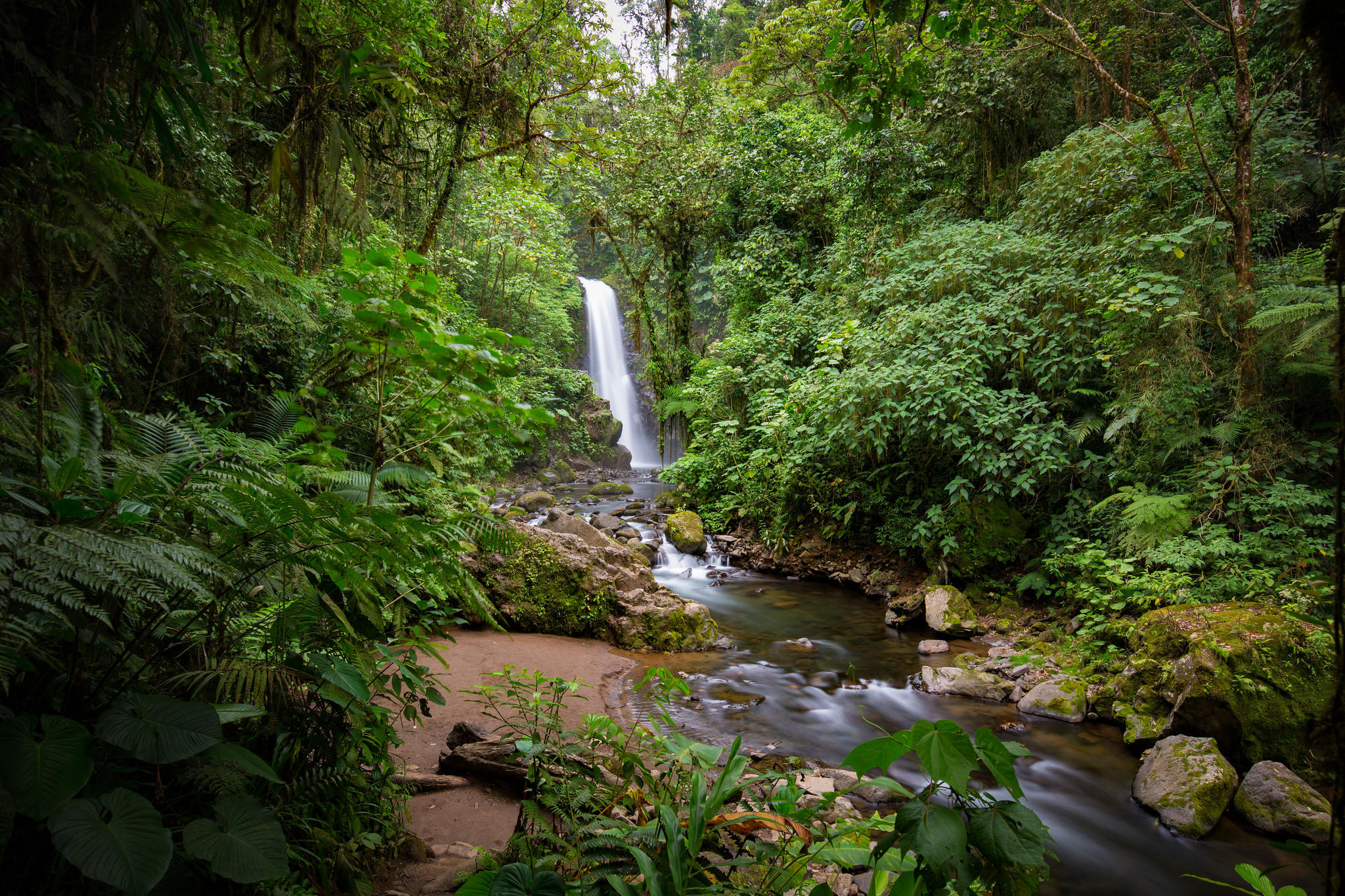 Природа Коста-Рики водопады