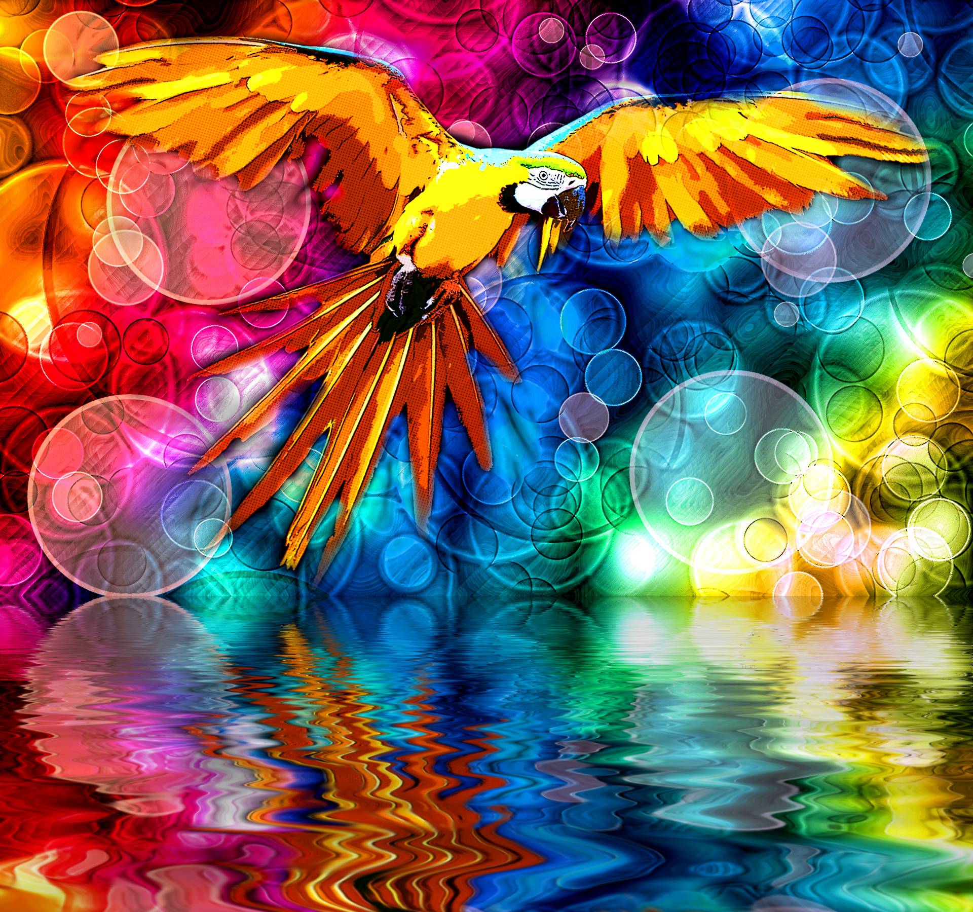 Wallpapers background texture parrot on the desktop