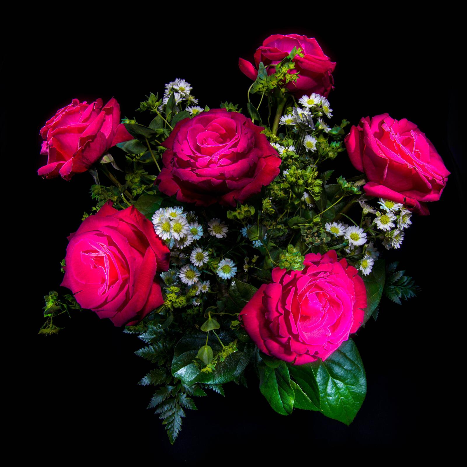 Обои розовые розы розовый букет букет на рабочий стол