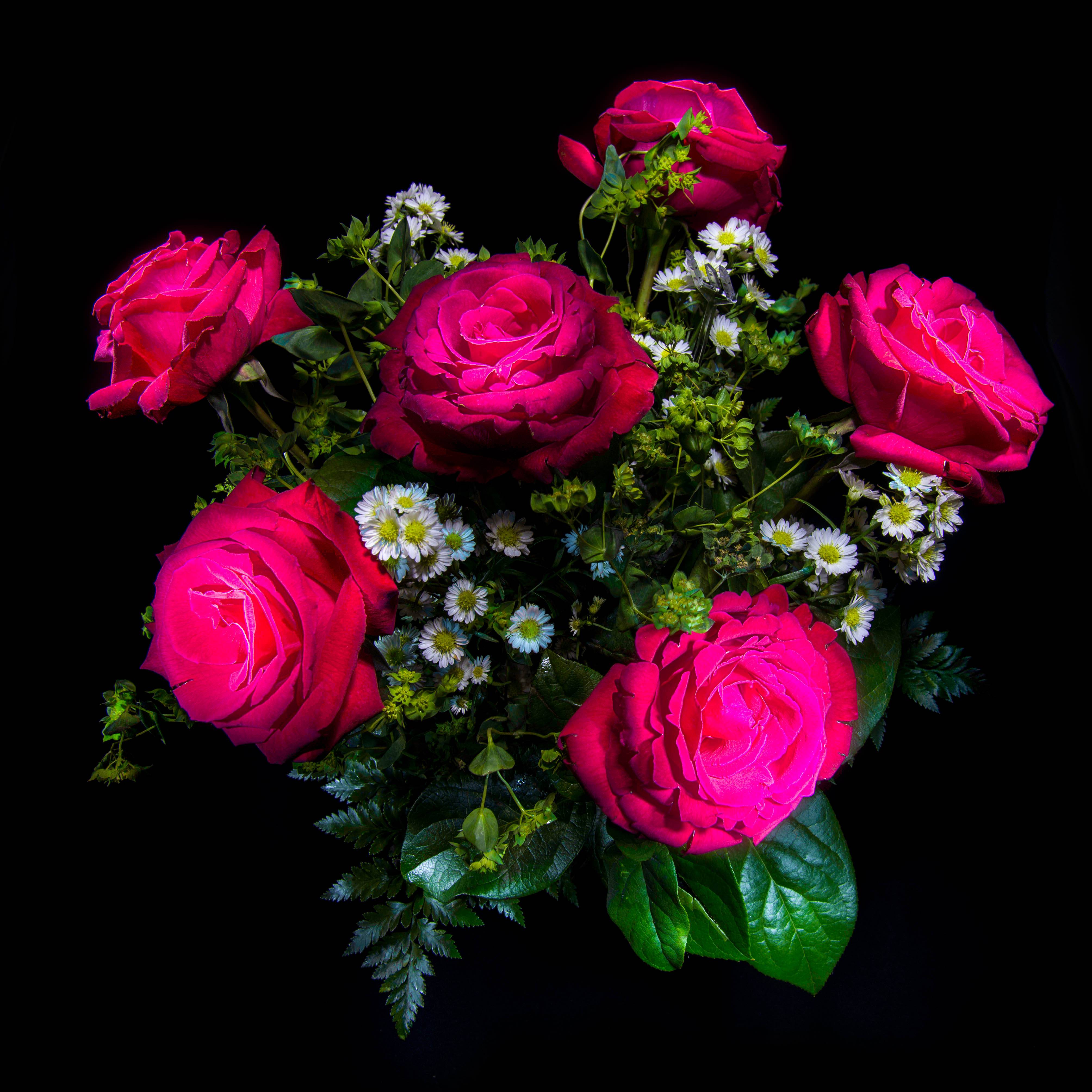 Photo free pink roses, pink bouquet, bouquet