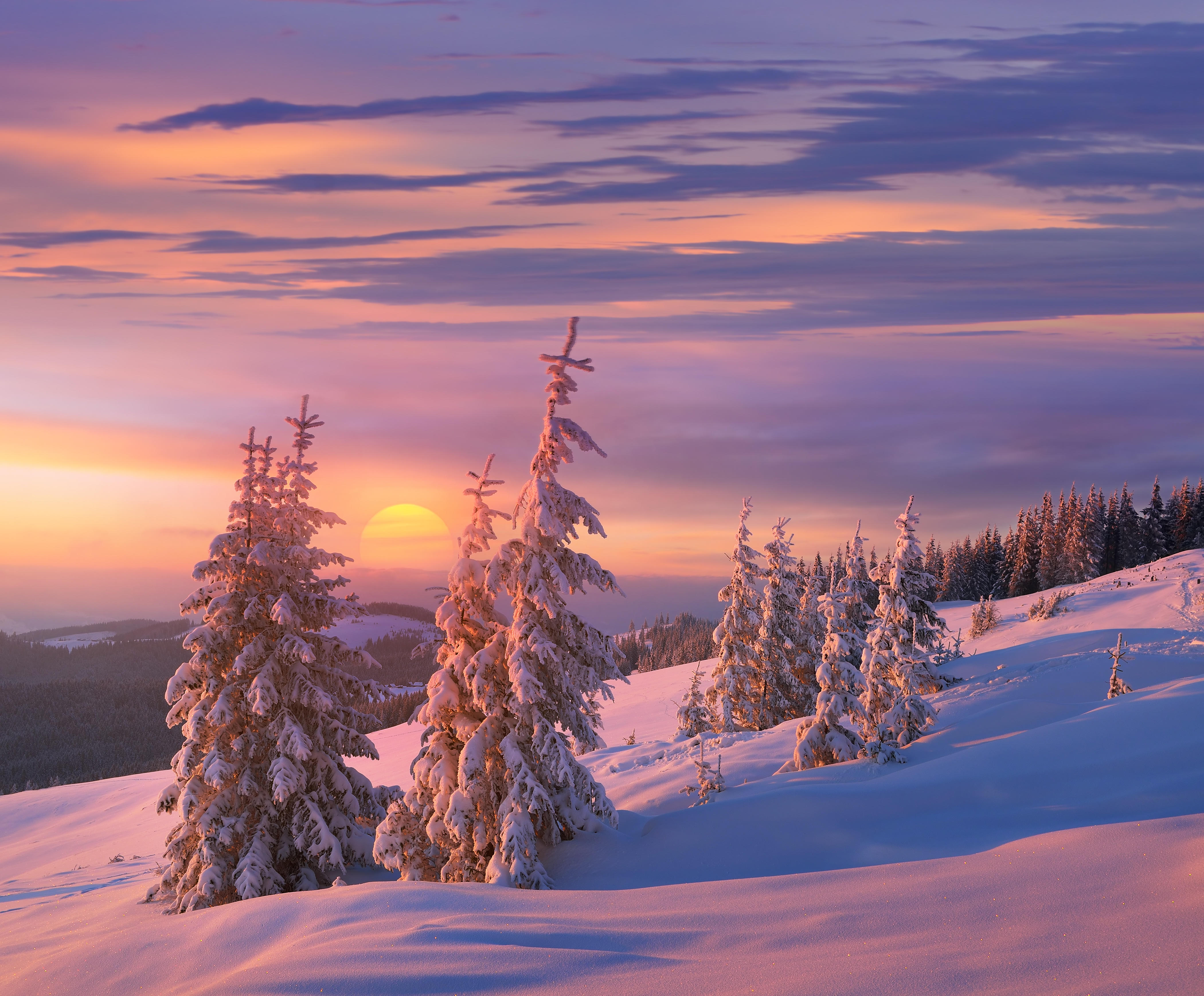 Фото бесплатно снег на деревьях, пейзаж, закат