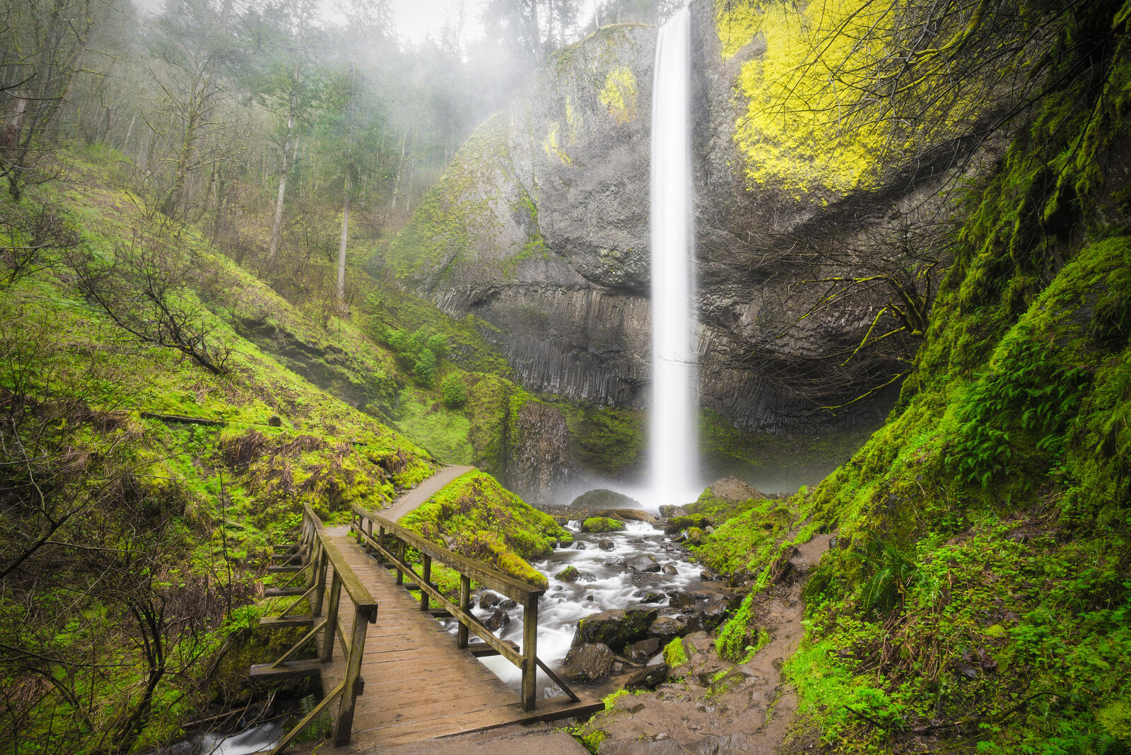 Обои Latourell Falls waterfall Columbia River Gorge Oregon на рабочий стол