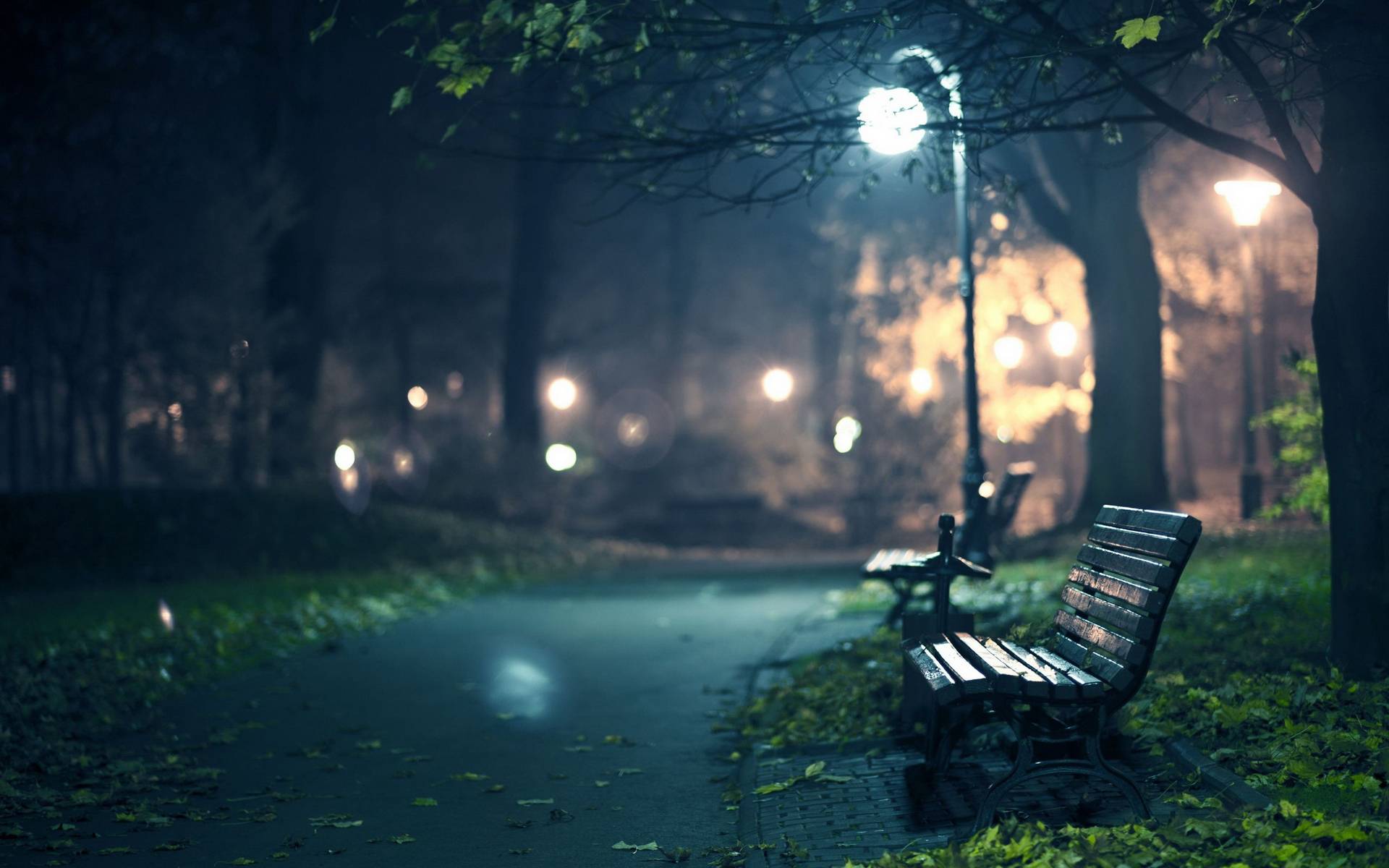 Wallpapers night park bench on the desktop