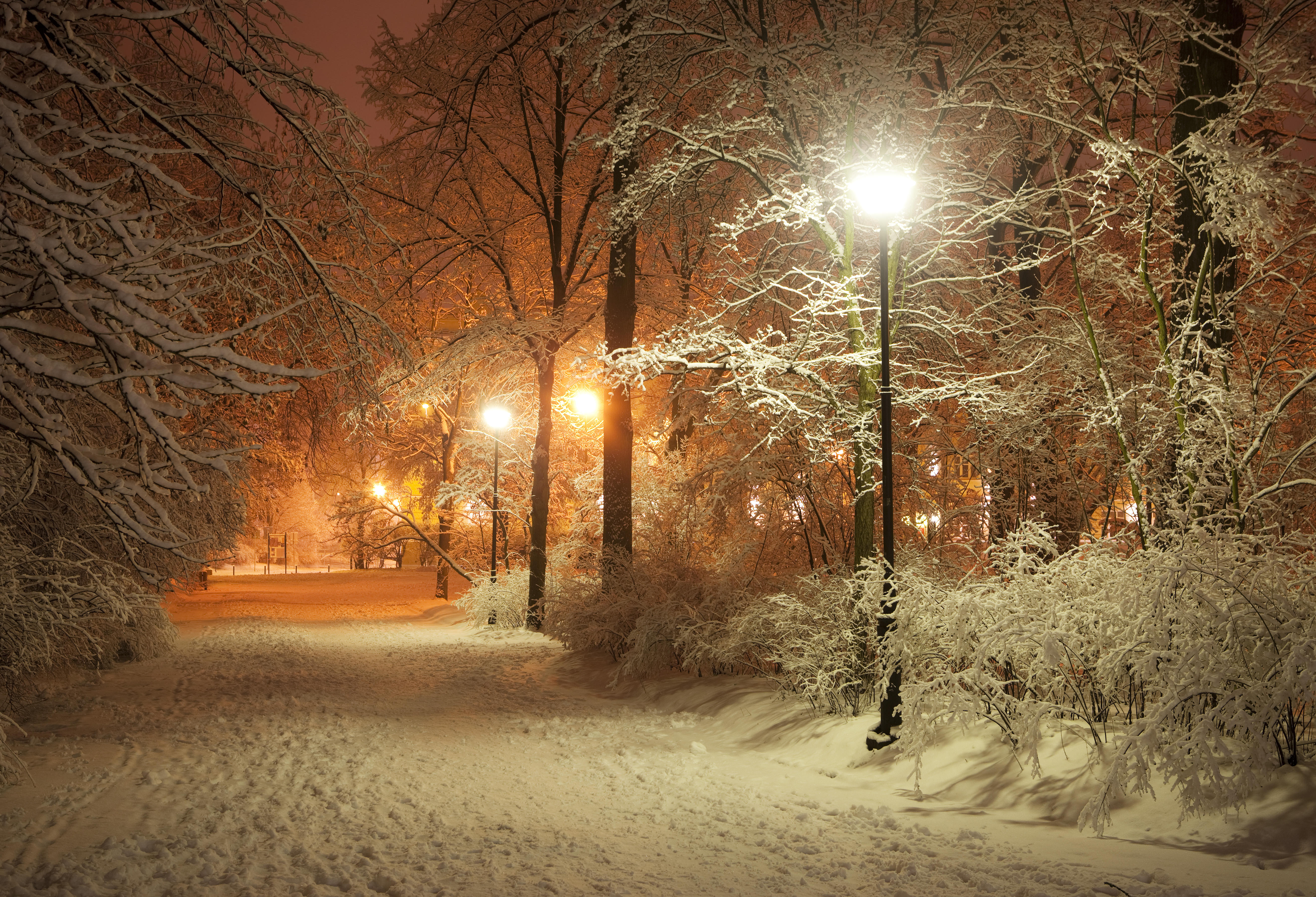 Парки Фото Зима