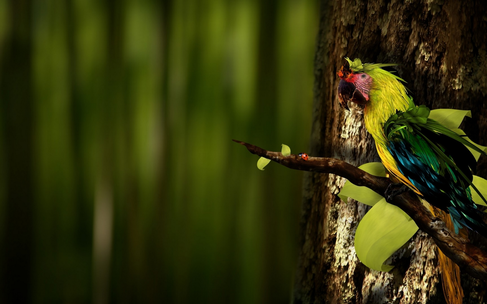 Wallpapers branch parrot colored on the desktop