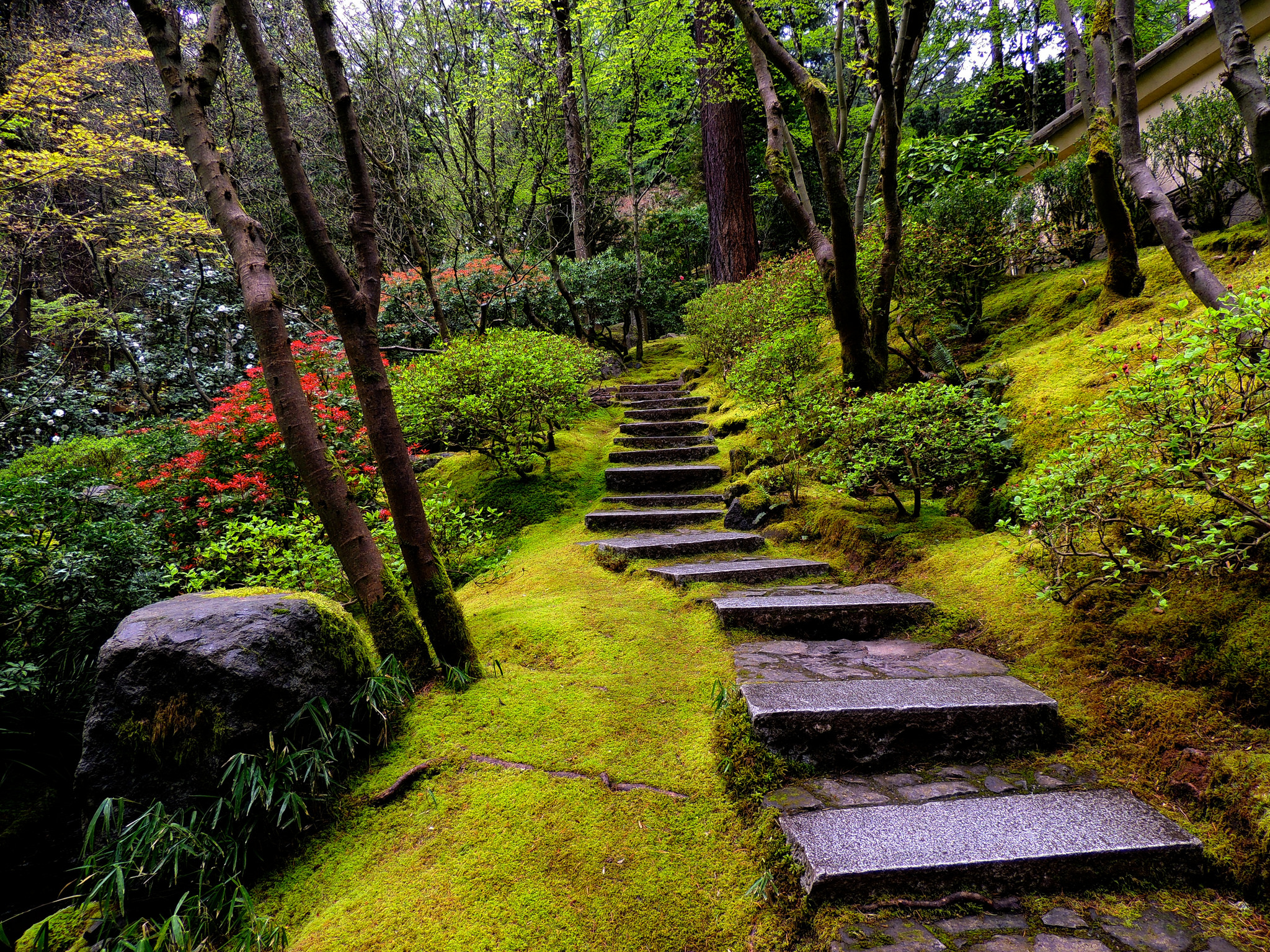 Обои Японские сады в парке Вашингтон Портленд пейзаж на рабочий стол