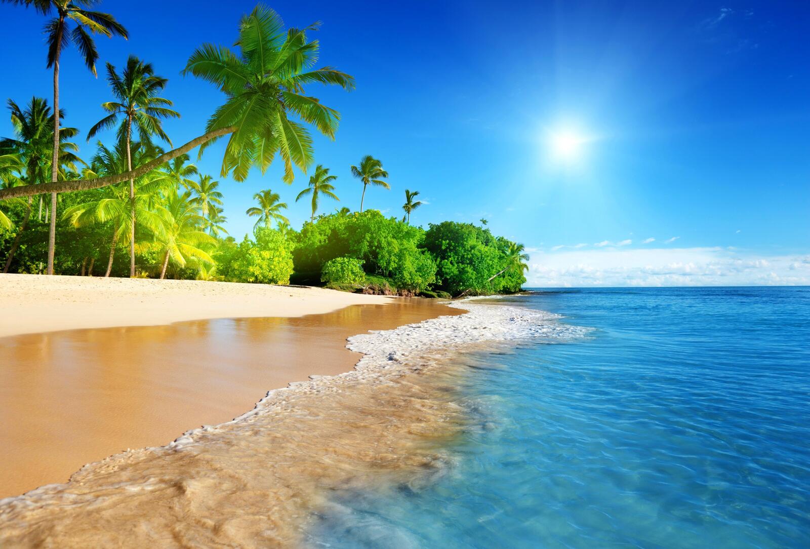 Обои жаркое солнце отдых на пляже пальмы на рабочий стол