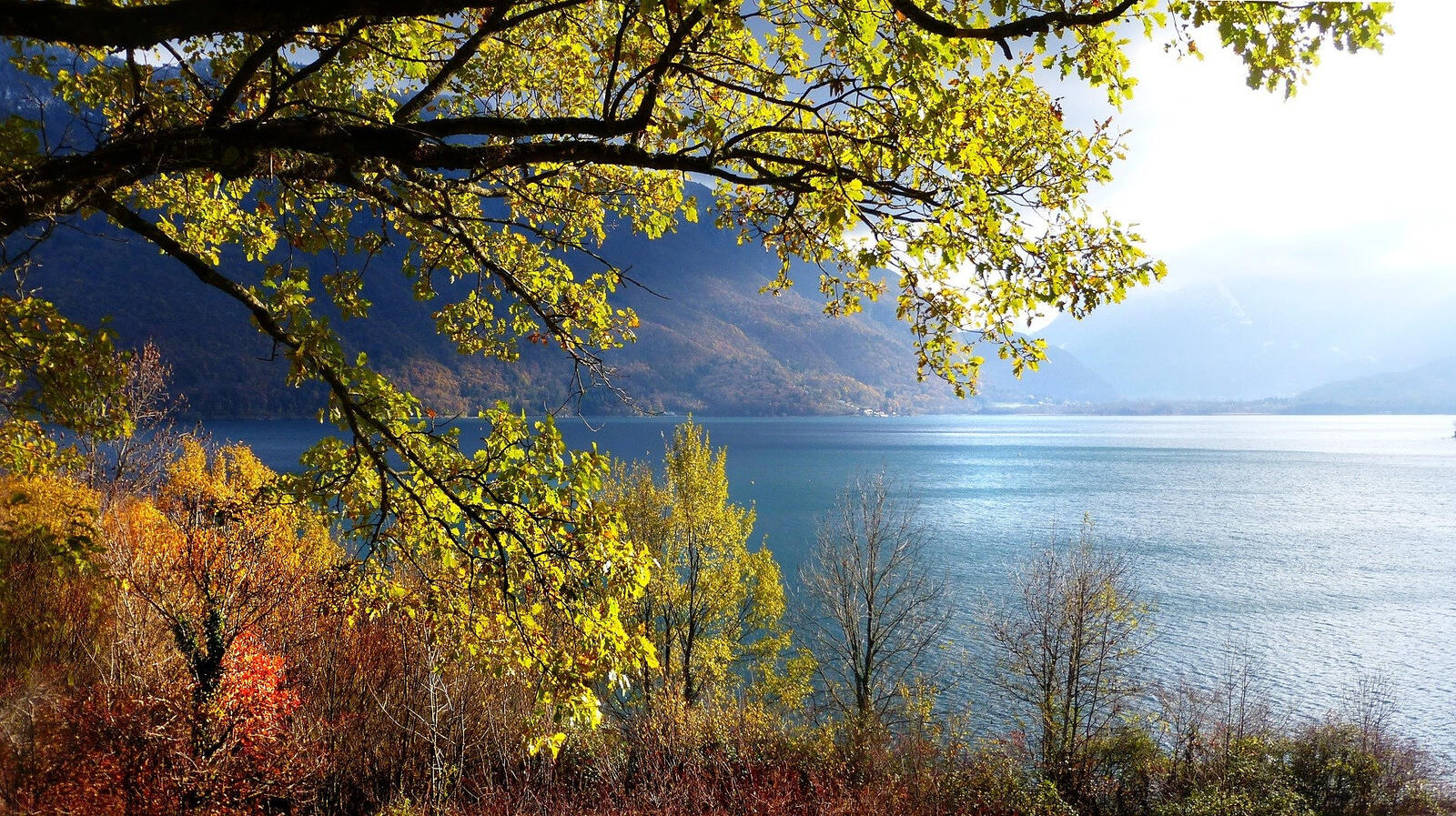 Wallpapers lake Annecy Haute Savoie FRANCE on the desktop