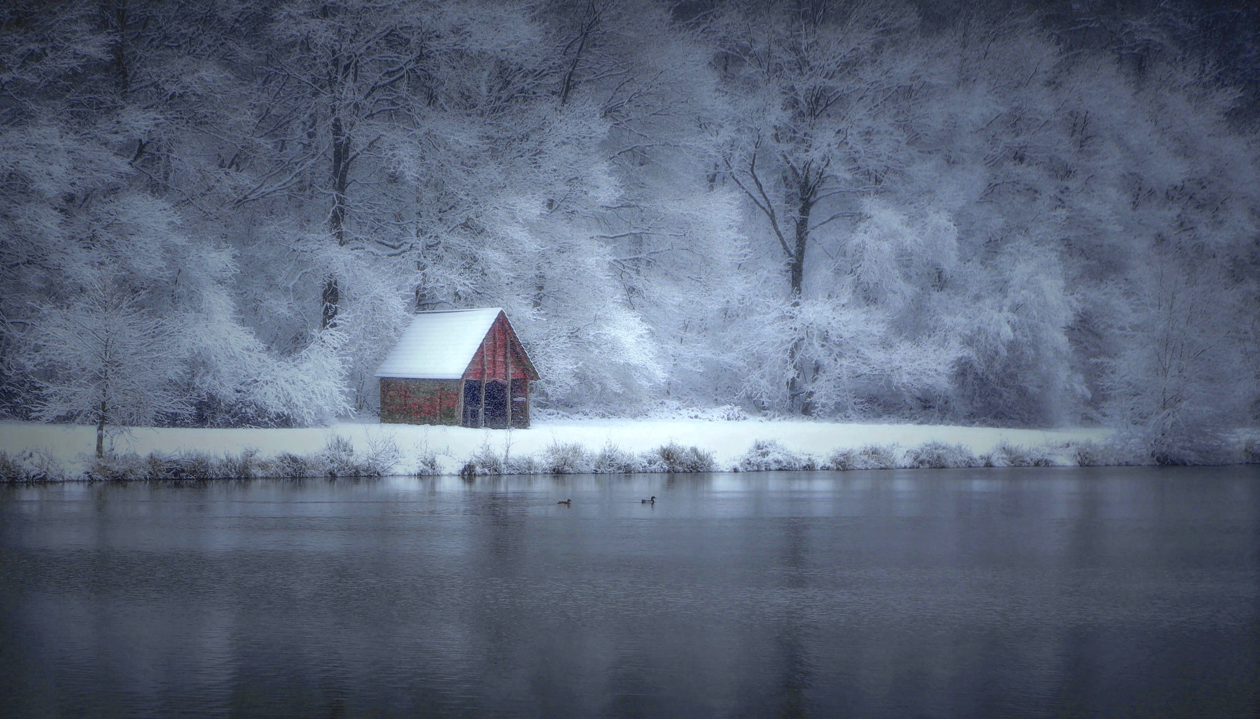 Wallpapers winter lake forest on the desktop